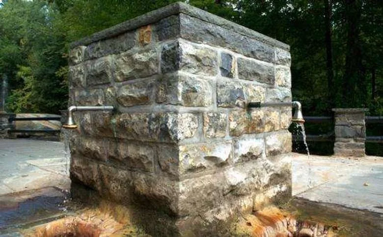 Drawn from one of Saratoga’s historic mineral sources, Hayes mineral water is naturally packed with magnesium, potassium, and essential electrolytes. We chose to serve this mineral water at KOS because it's crisp, lightly effervescent, and the perfec