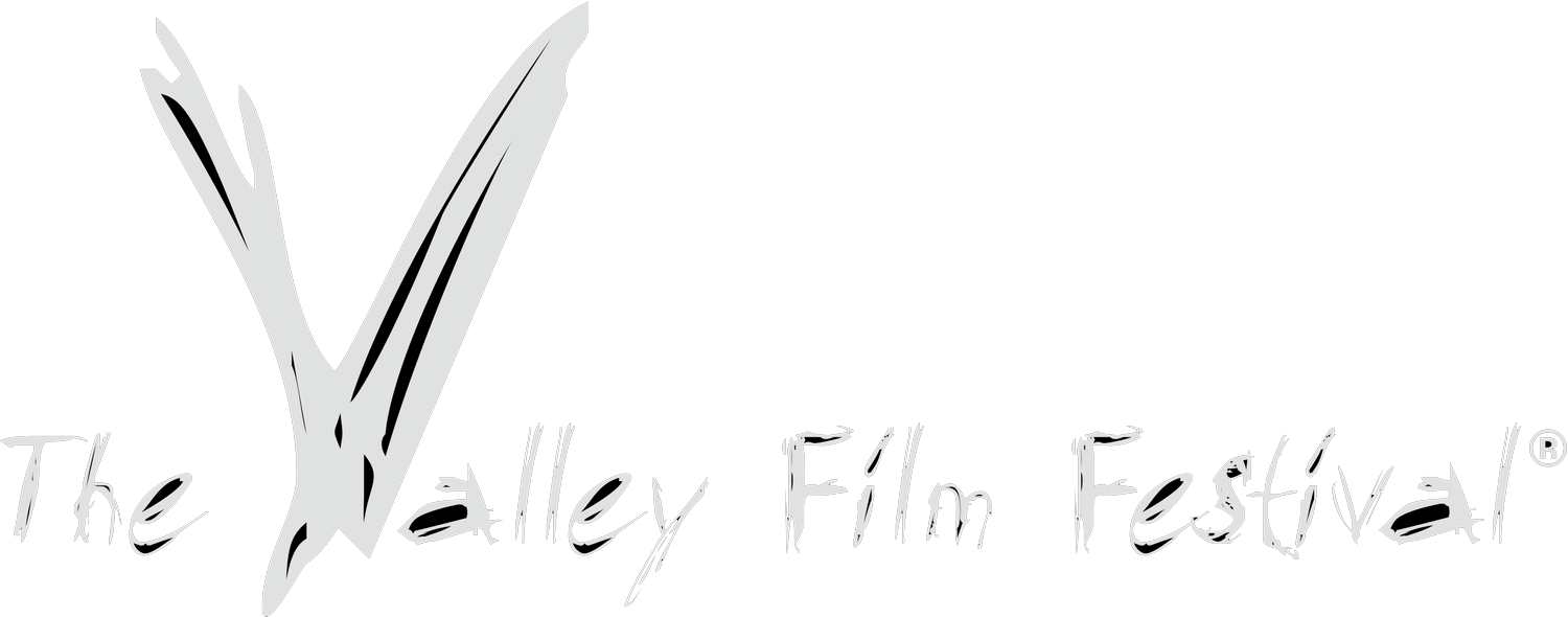 Logo for The Valley Film Festival featuring stylized text and a large S-shaped graphic.