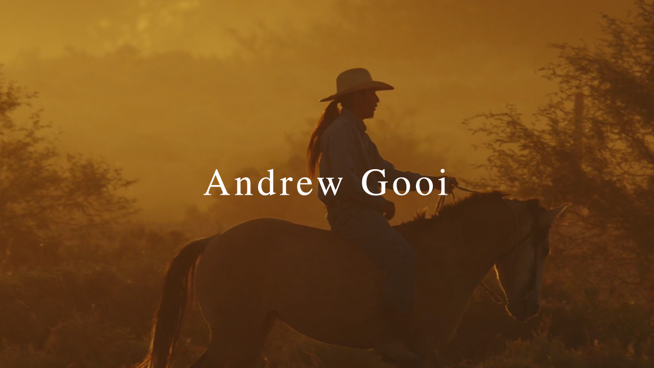 Silhouette of a person riding a horse at sunset or sunrise with trees and warm orange sky in the background, and the name 'Andrew Gooi' overlaid.