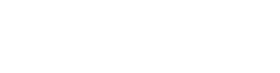 White text on a black background reading 'Flight Facilities' in bold, rounded font.