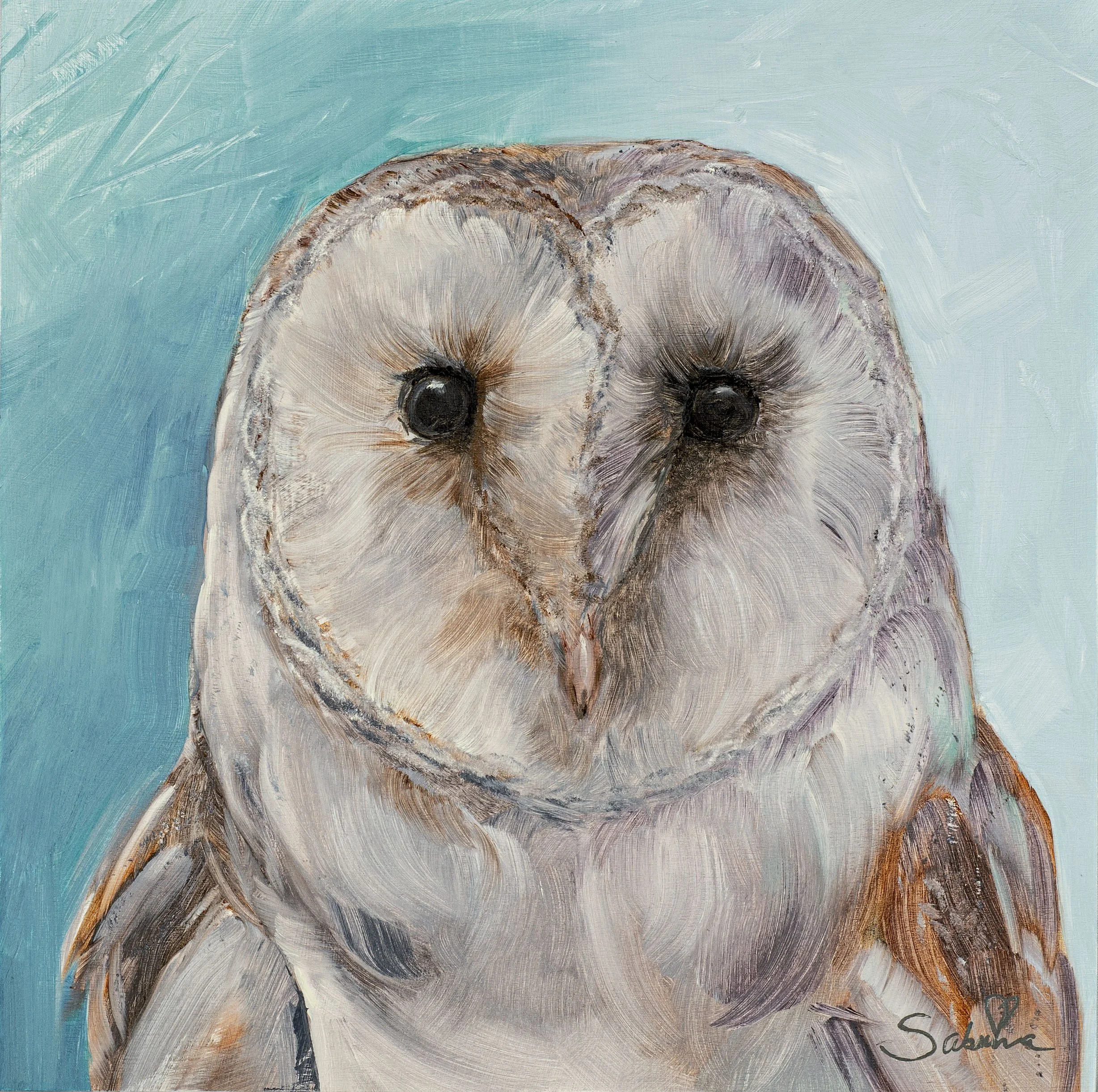 Barn Owl in Teal.jpg