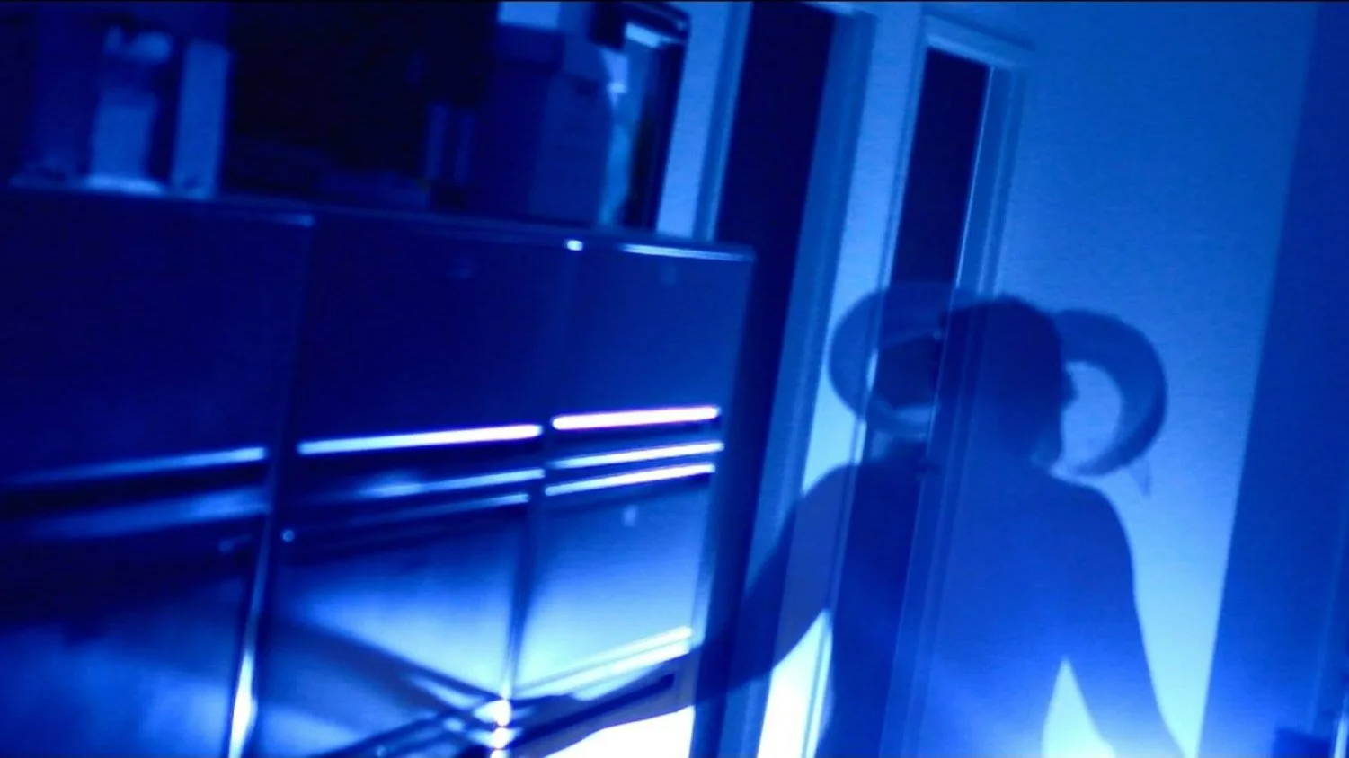 Theta States Demon Silhouette.jpg