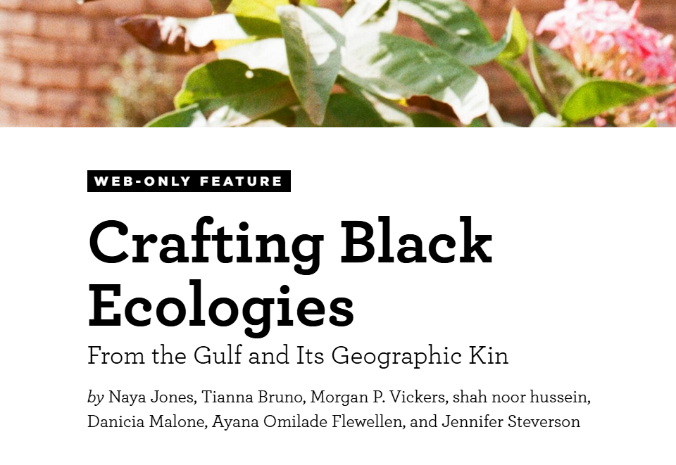 Snapshot of Crafting Black Ecologies Article in Southern Cultures (2025)