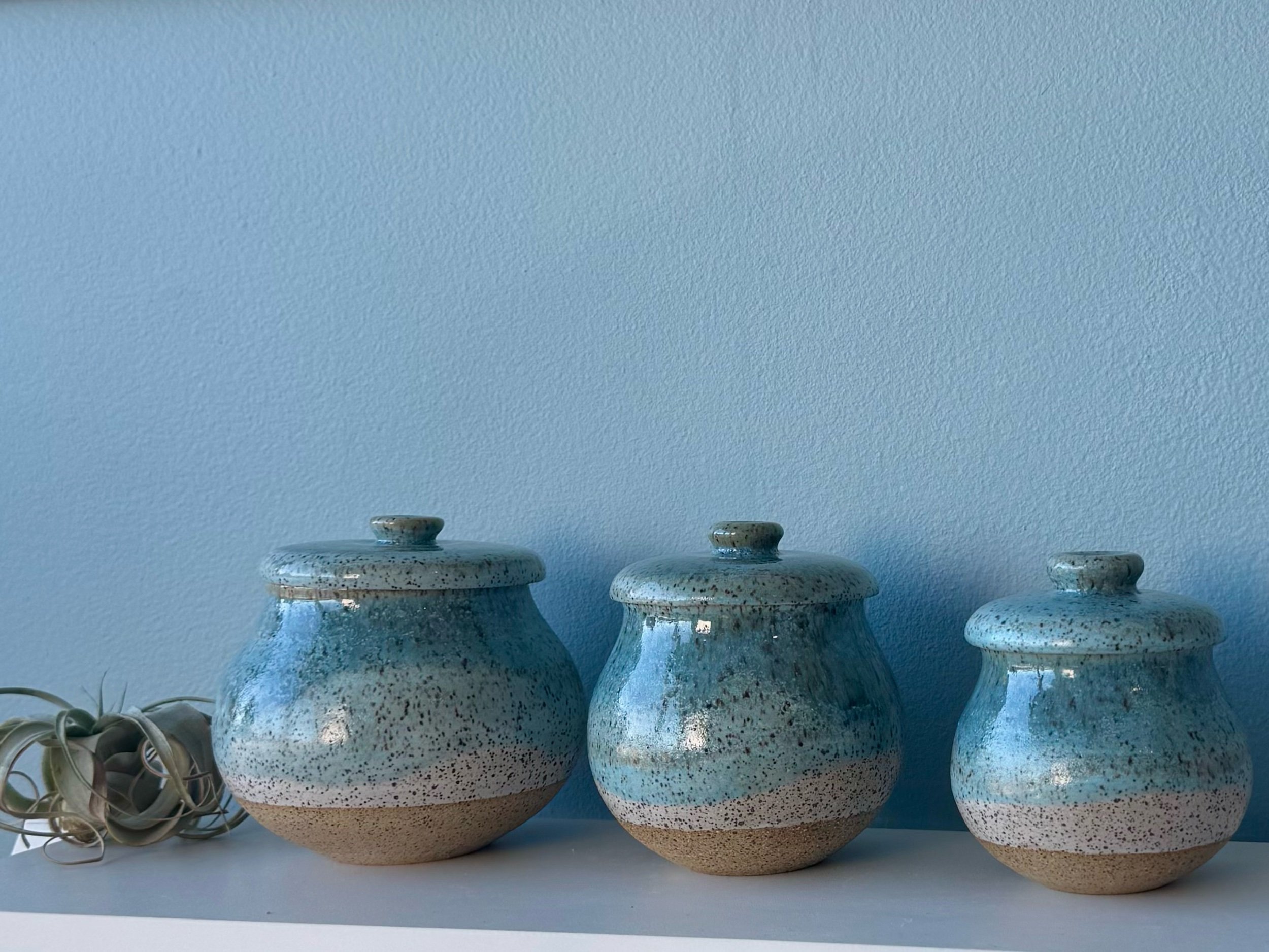 434: medium lidded jar