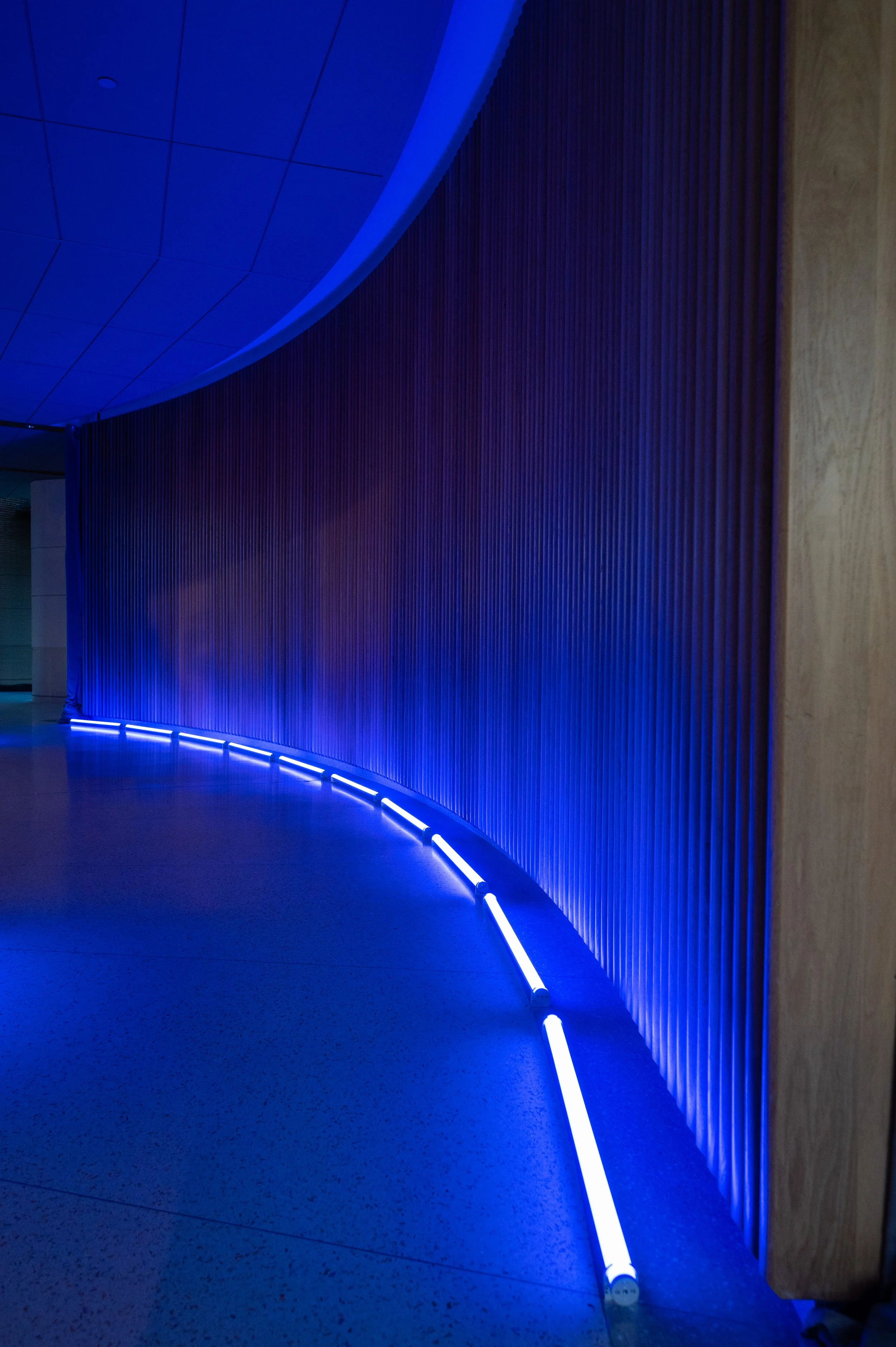 PennMed  0101 copy.jpg