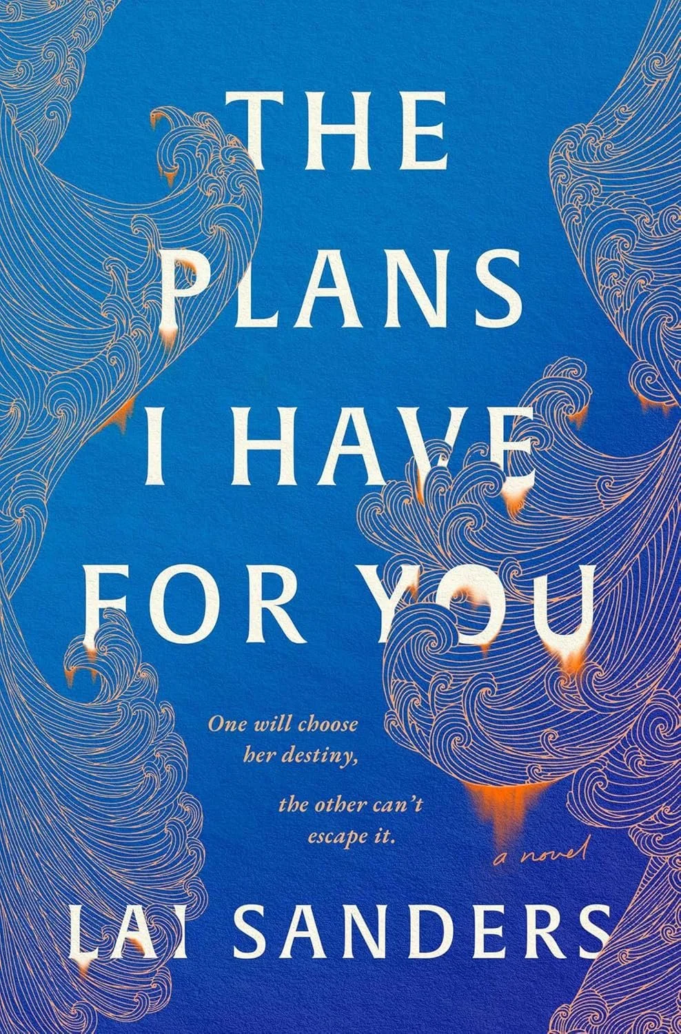The Plans I Have For You
