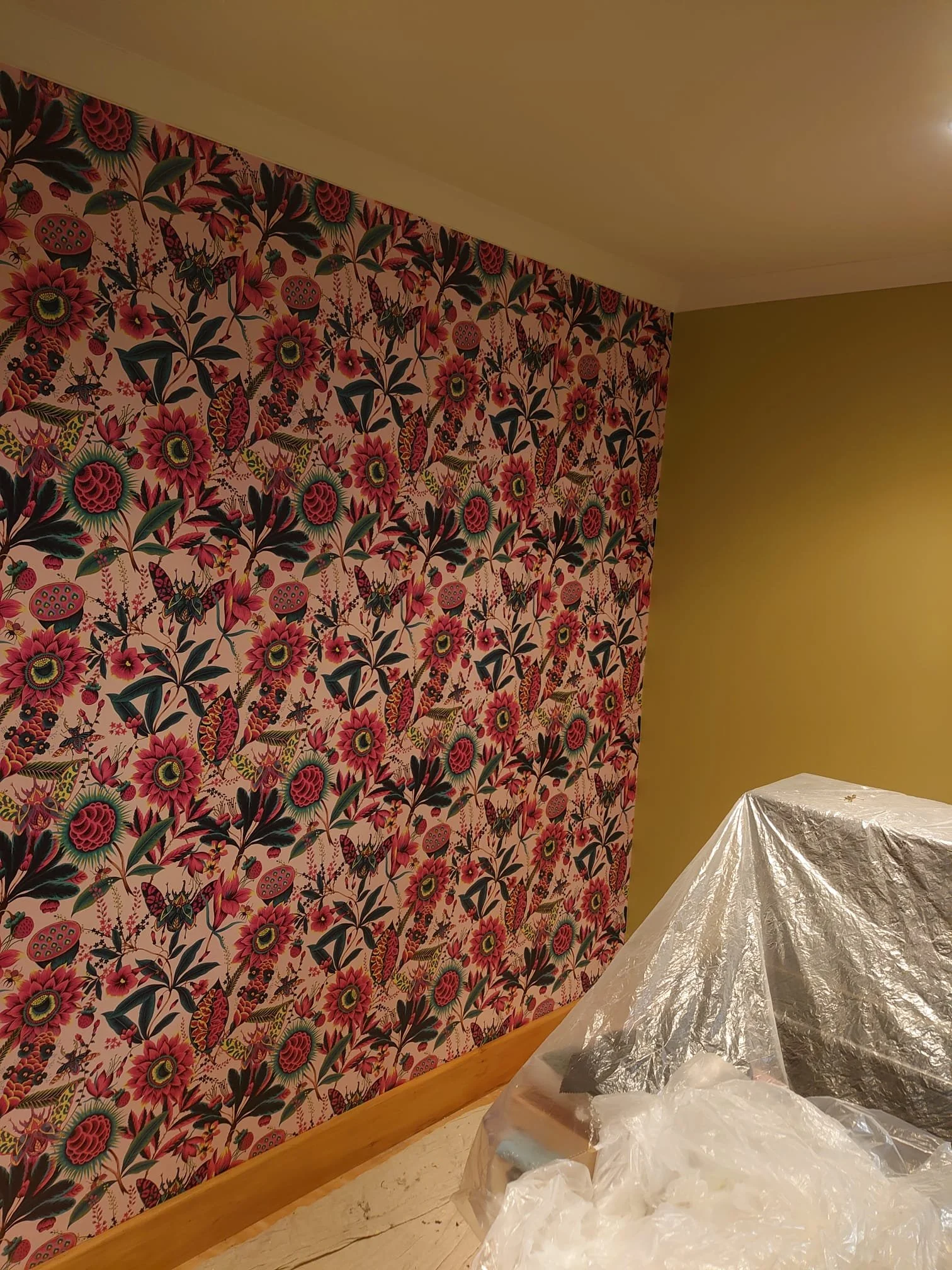 WhatsApp Image 2026-01-08 at 23.41.49.jpeg