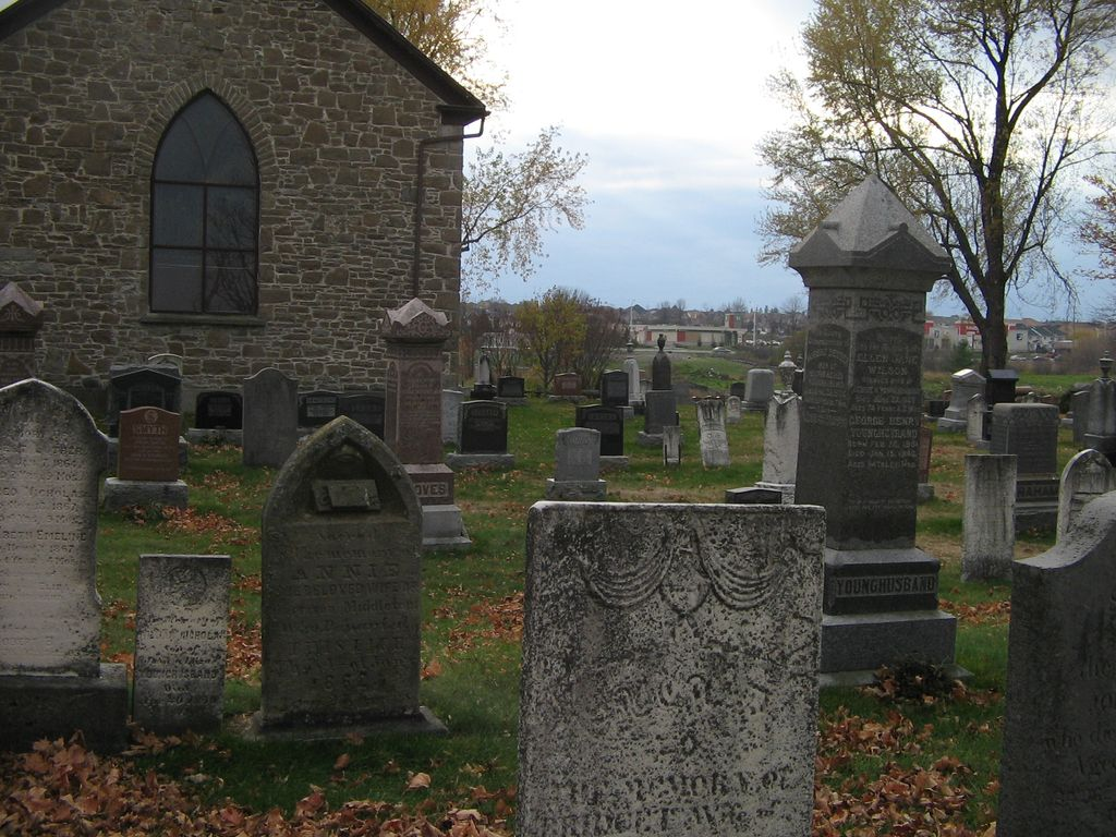 image-7.png