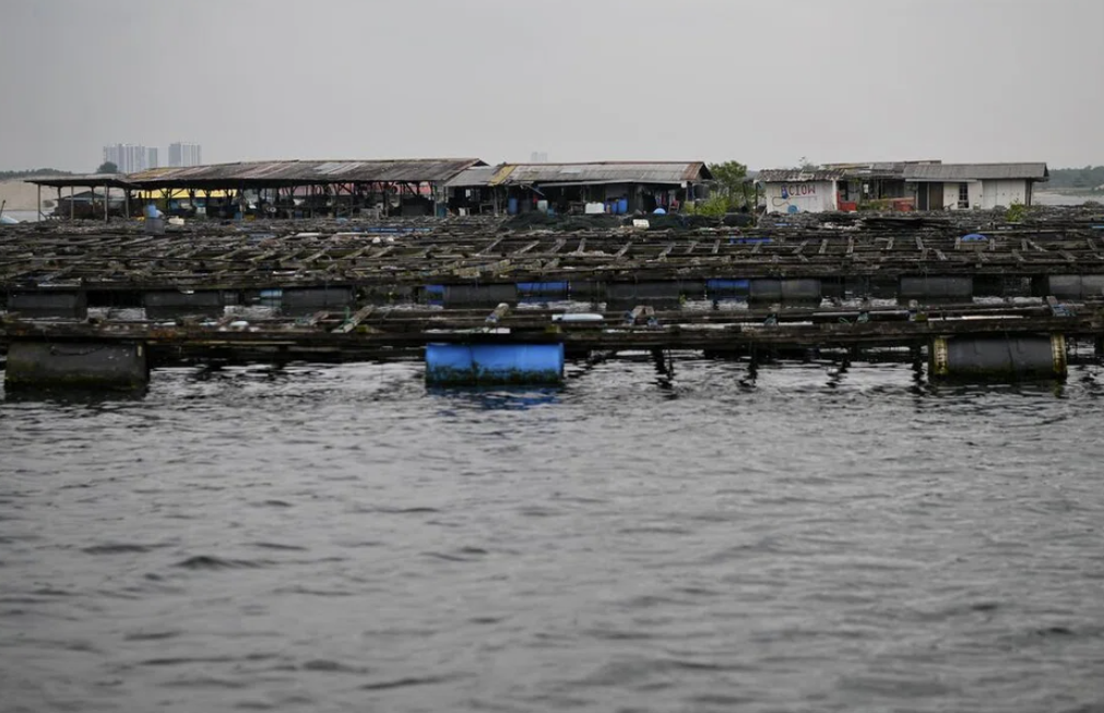 Local farms to get better supply of baby fish and shrimp; new $70 million top-up to agri fund: Zaqy