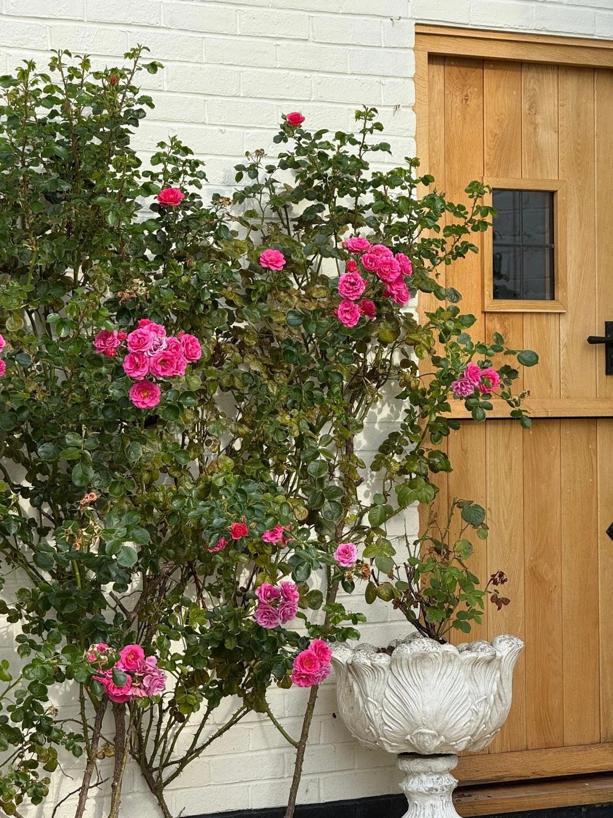 PHOTO-2025-09-22-19-42-55 (1).jpg