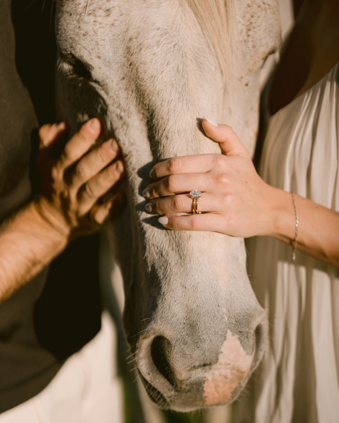 Golden light, quiet moments, the sound of horses in the distance, and a kind of love that speaks softly. ✨
Slow days, warm air, and memories already feeling timeless.