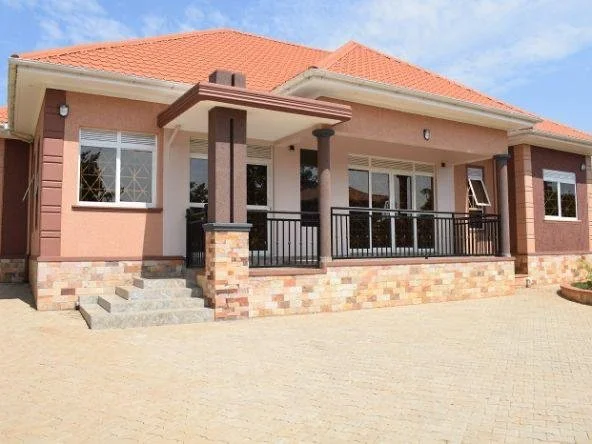 WhatsApp Image 2025-06-30 at 07.25.11.jpeg