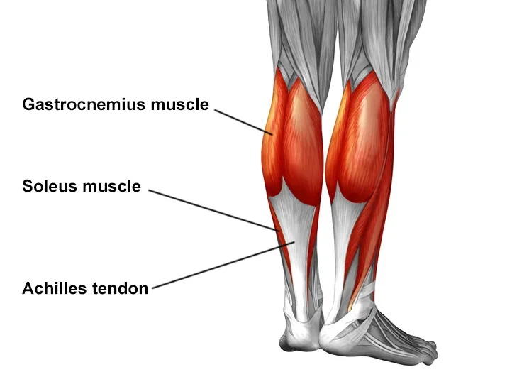 Why Achilles Injuries Are So Common — And Why They Sometimes “Pop”