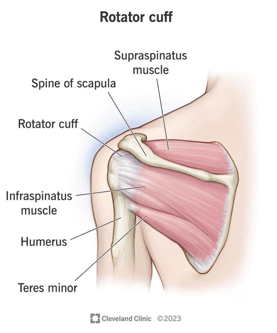 Screenshot 2025-12-23 at 11.36.52 AM.png