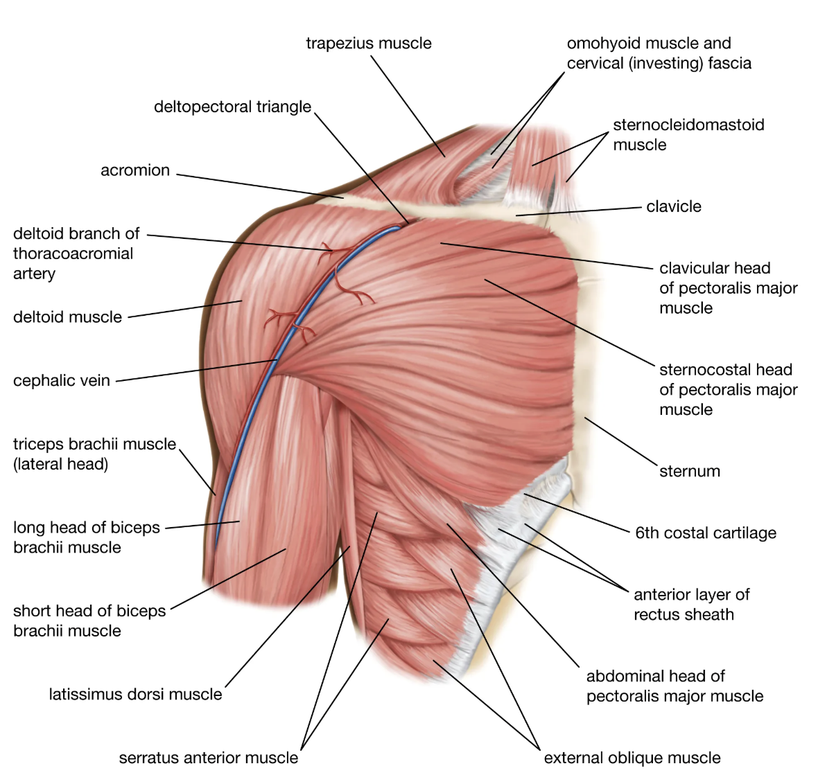 Screenshot 2025-12-23 at 11.36.42 AM.png