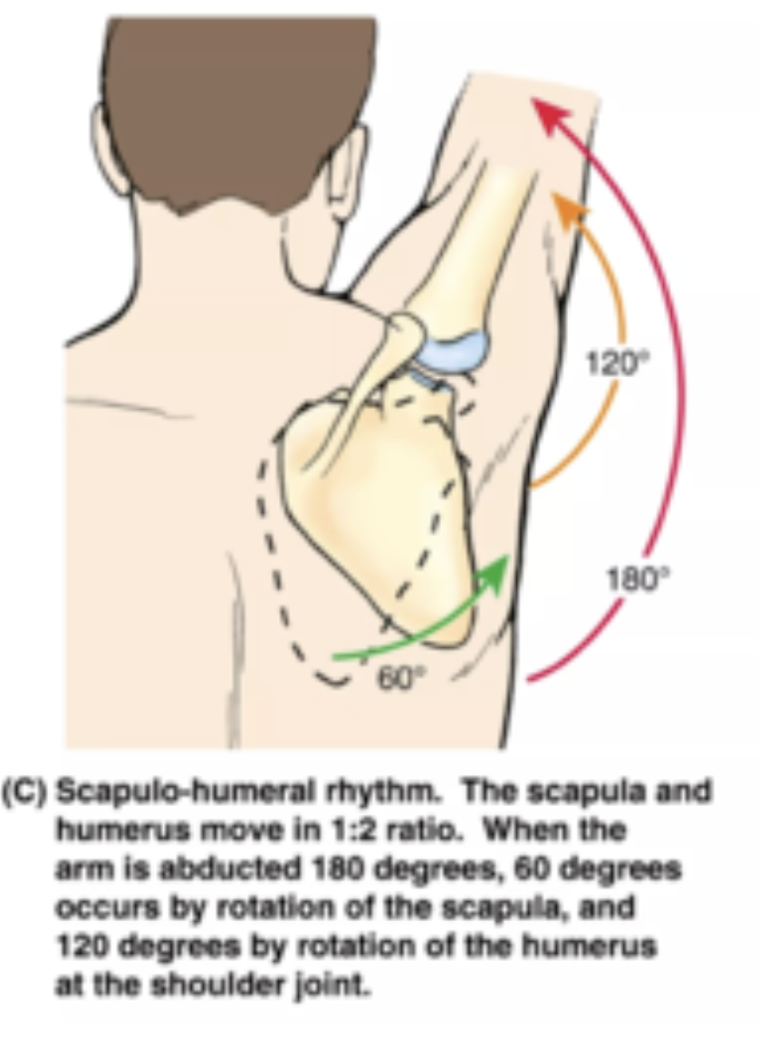 Screenshot 2025-12-23 at 11.37.03 AM.png