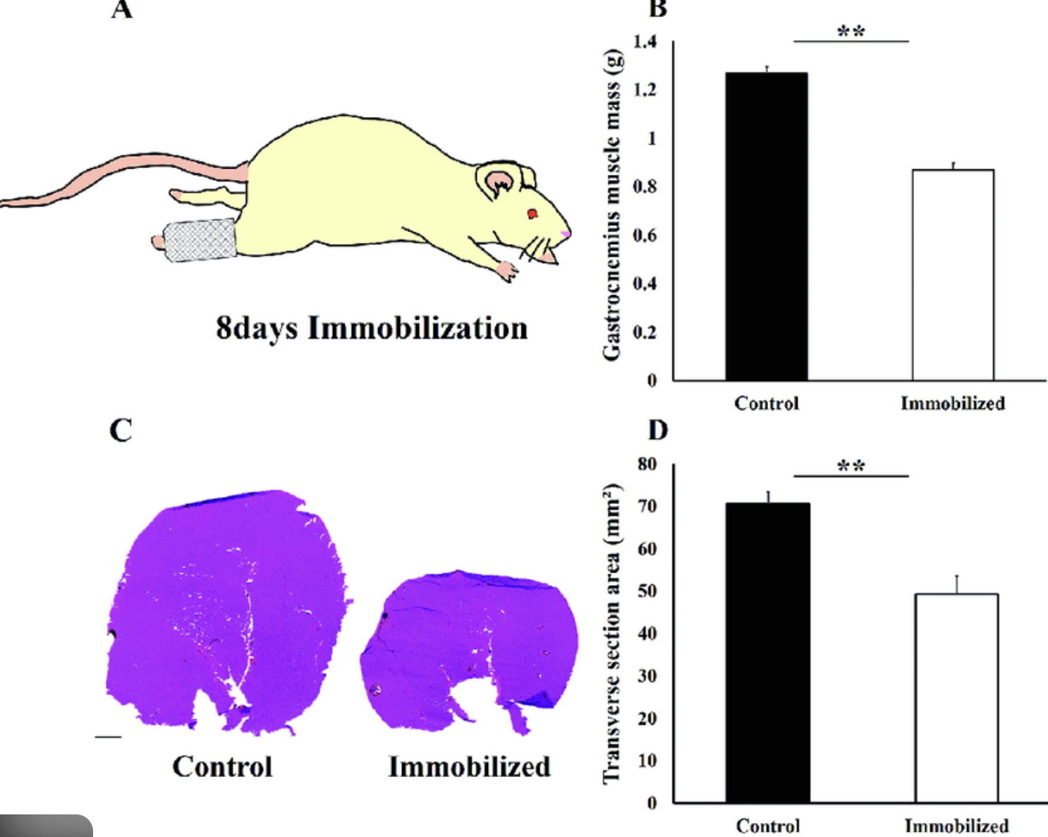 Screenshot 2025-12-23 at 11.42.07 AM.png