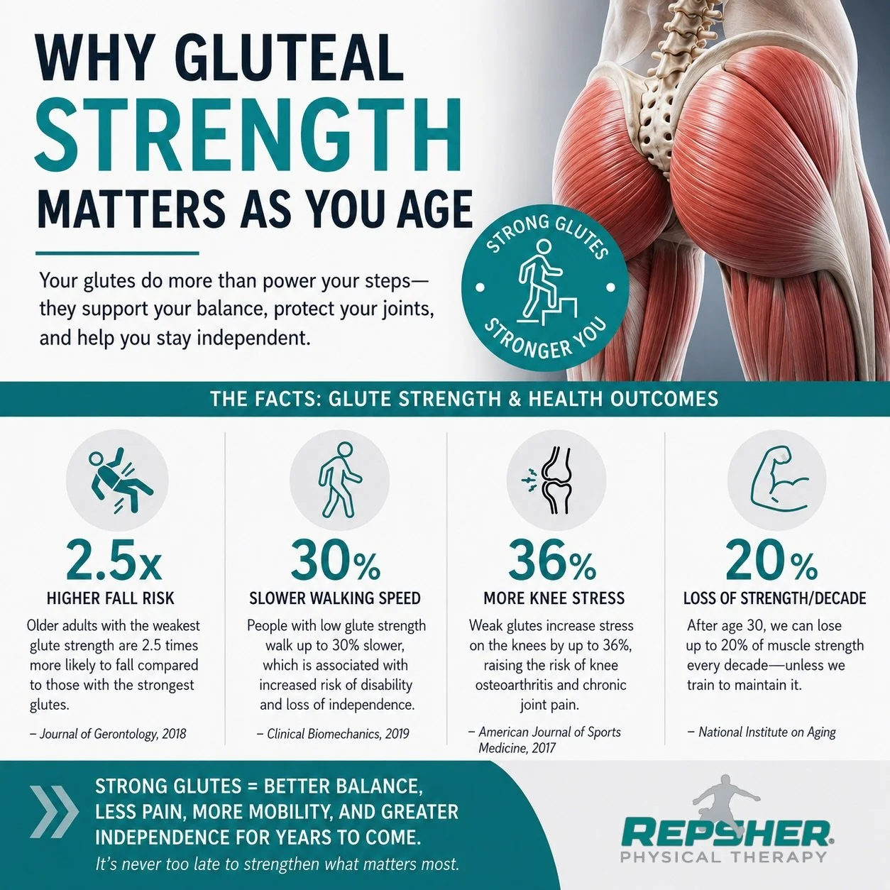 Strong glutes aren&rsquo;t just about strength&mdash;they&rsquo;re a key part of staying active and independent as we age.

Your gluteal muscles play an important role in:
&bull; Balance and stability
&bull; Walking and stair climbing
&bull; Controll