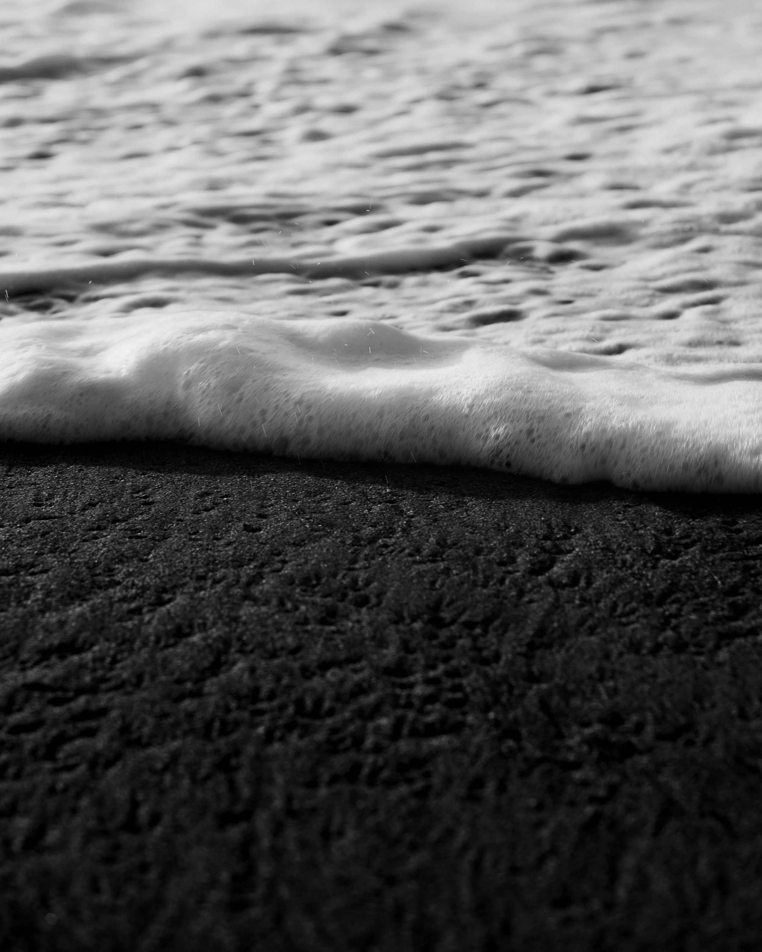 DSC028731.jpg