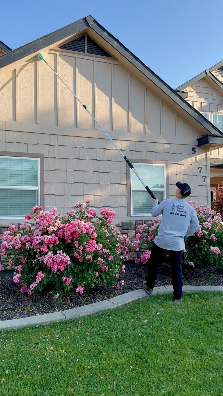 Keeping homes pest-free, one sweep at a time 🕷️✨
At Batis Pest Control, we go the extra mile to protect your space—starting from the outside in.
📞 208-398-3468
#BatisPestControl #PestFreeHome #IdahoHomes #LocalBusiness #PestControlPros #Fam