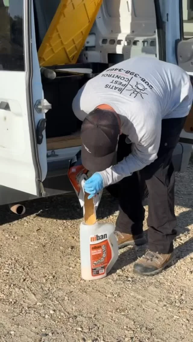 This part of the service is one of our favorites because it does a lot of heavy lifting when it comes to protecting your home.
After we clean up the webs and wasp nests, we go around the outside of the house and garden beds with a granular bait that