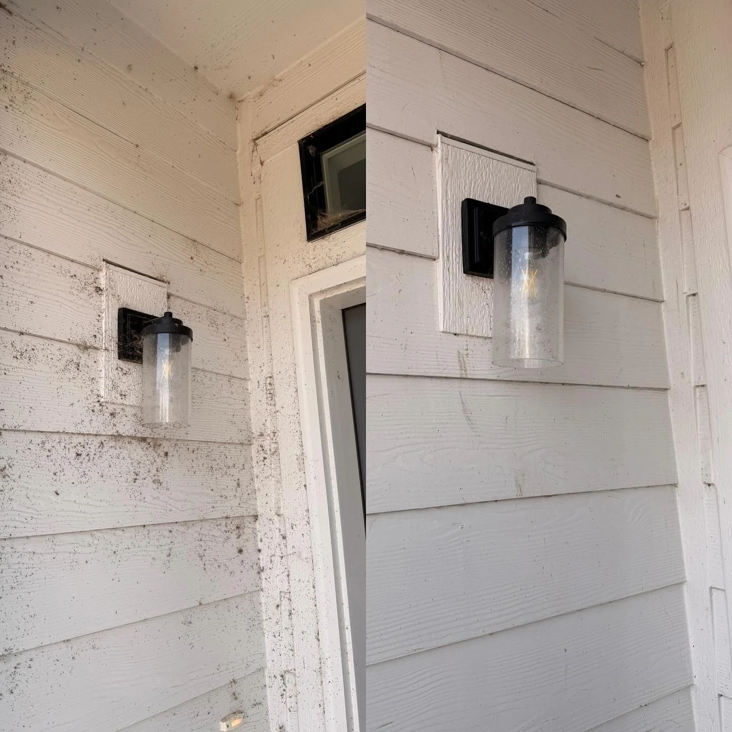 This porch was covered in spider webs, wasp nests, and even a mud dauber nest 😬 With our Web Away Service, we knocked down all the webs, cleared out the wasp nests, and cleaned up the entire entryway. Now it’s fresh, clean, and pest-free! 🙌 O
