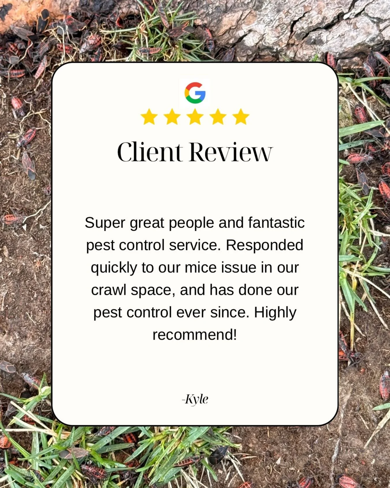 ⭐️⭐️⭐️⭐️⭐️

We love our customers and love helping their homes be pest free! 

#pestcontrolservice #idahopestcontrol #batispestcontrol