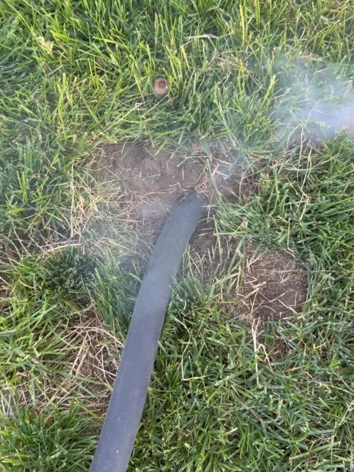 Voles can do some serious damage before you even realize they&rsquo;re there!

This homeowner started finding voles in his mouse traps, so we came out and took care of the problem by smoking them out through the yard and targeting the source undergro