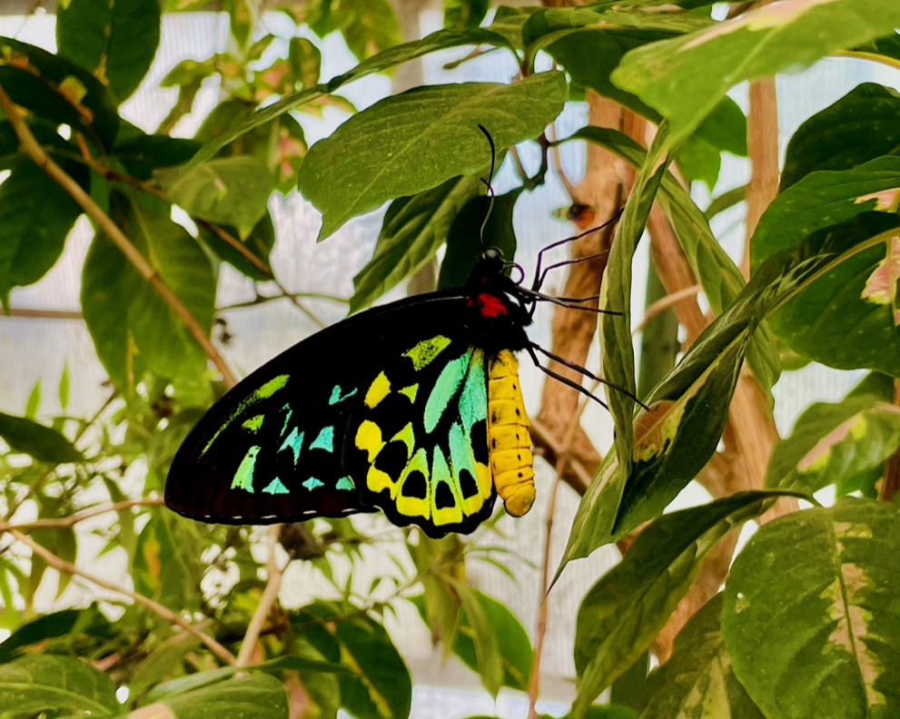 wildlife_photos_008.png