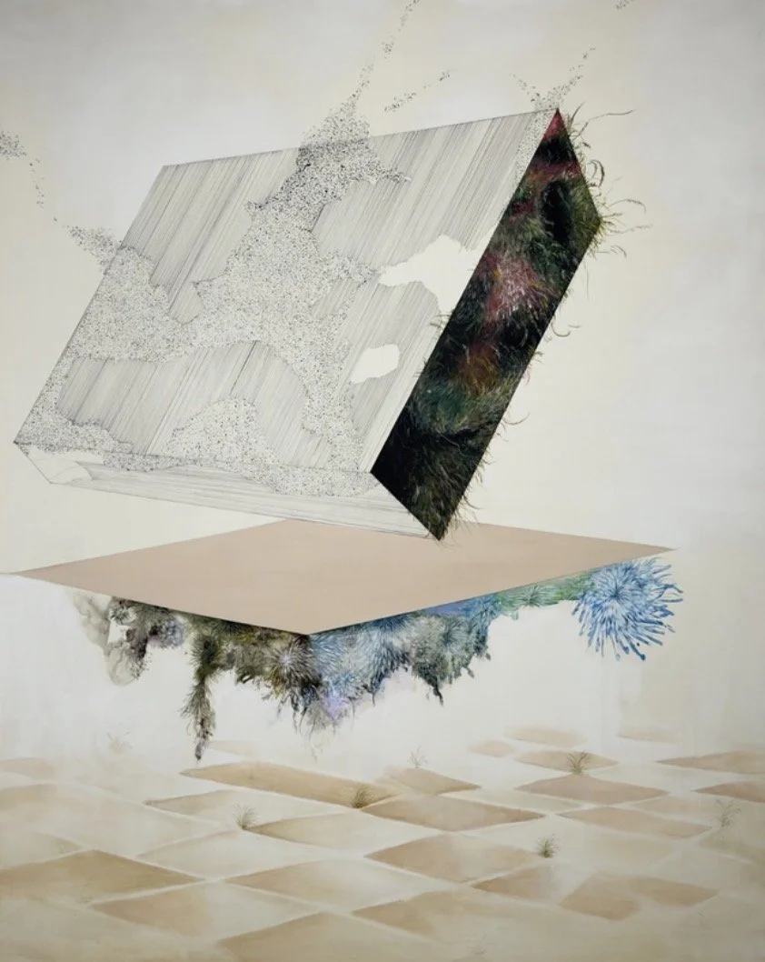 Shifting Anchor | Acrylic and Enamel on Canvas | 48 x 60 inches
