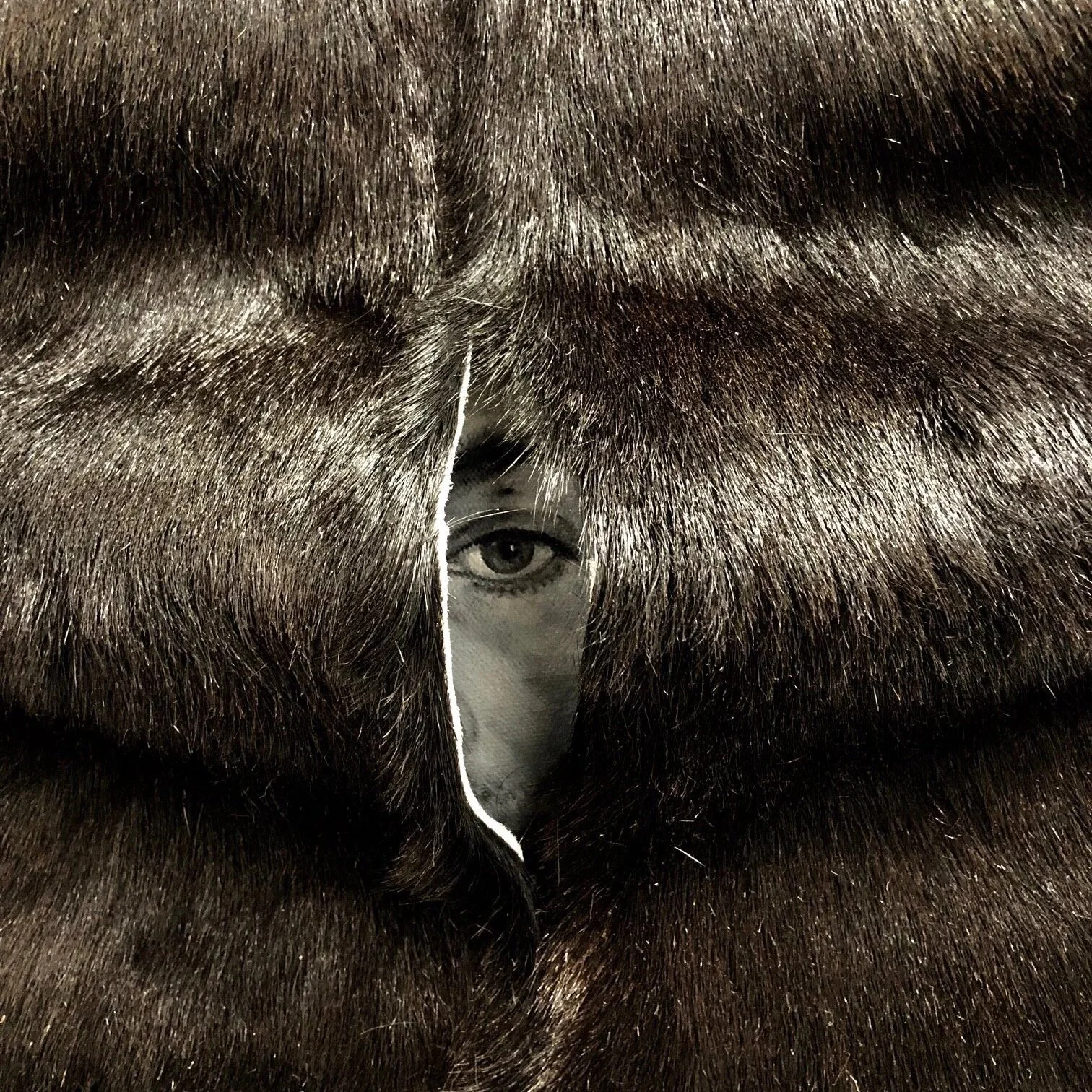 The Volume of Gaze