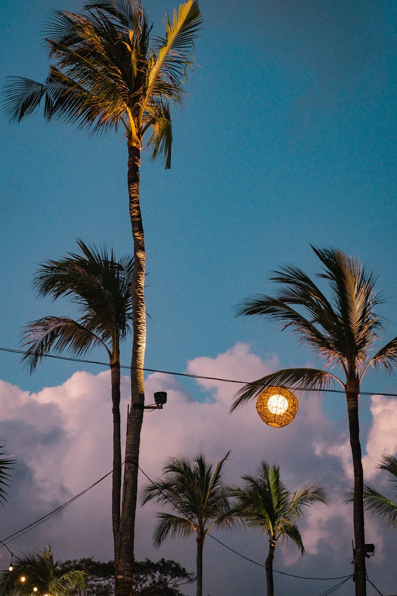 DSCF4103.jpg