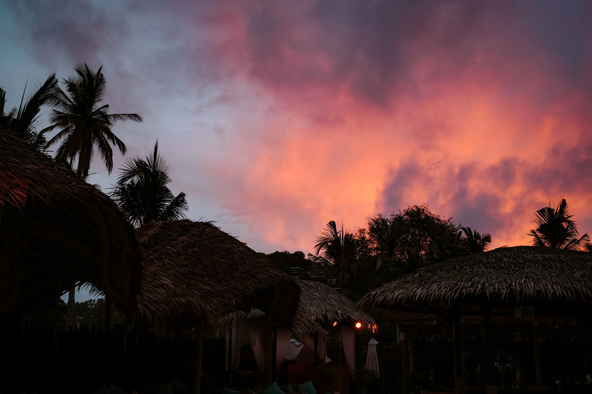 DSCF1810.jpg