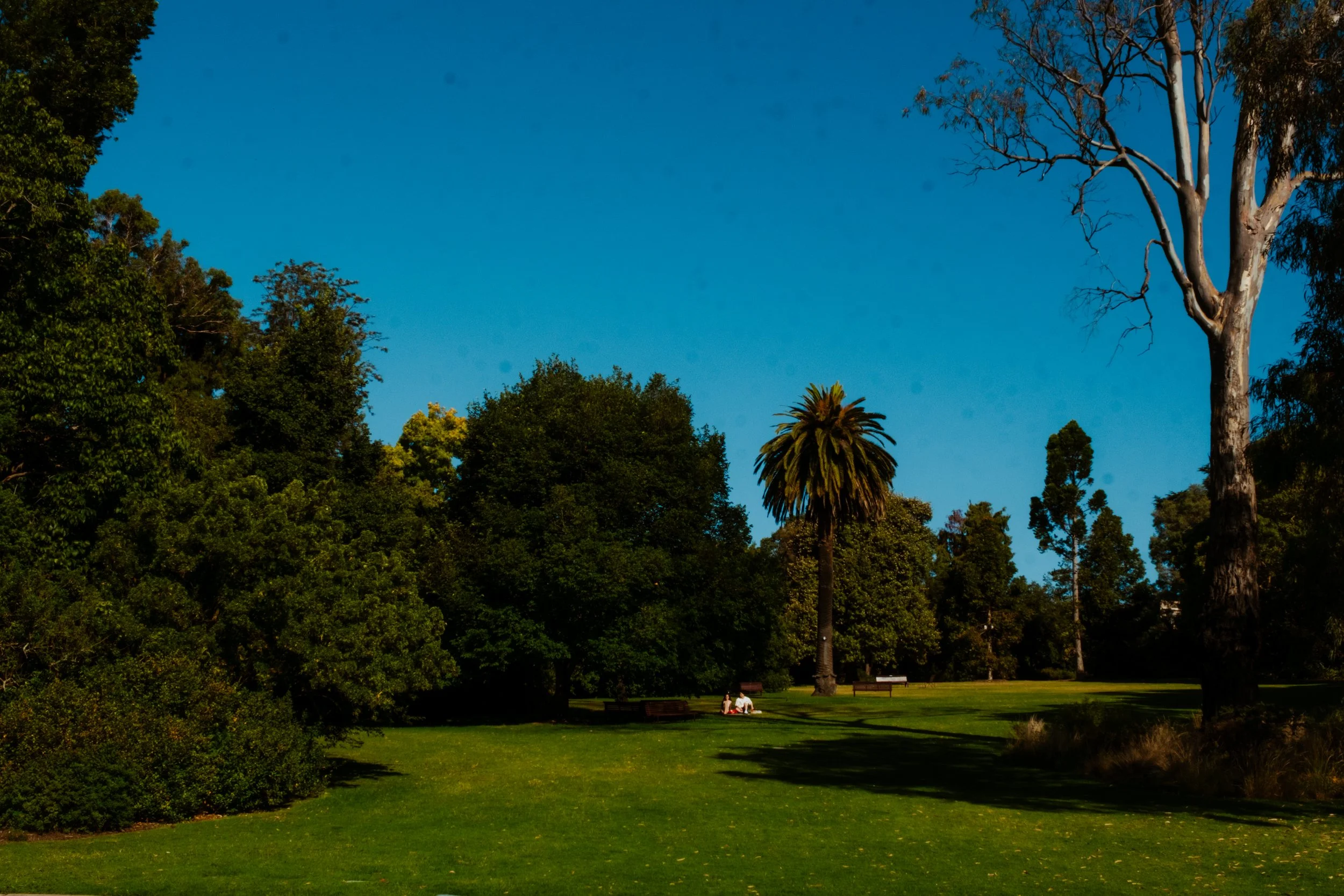 DSCF7369.jpg