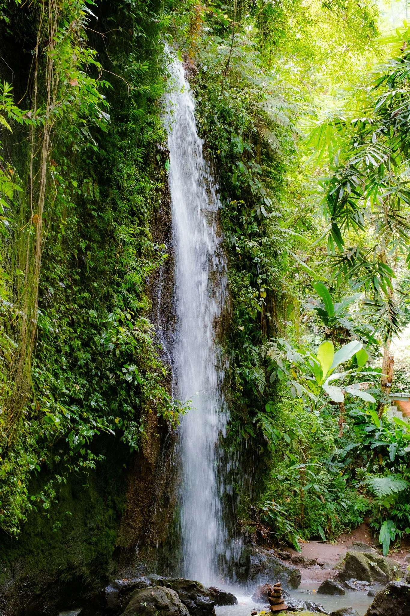 DSCF3664.jpg