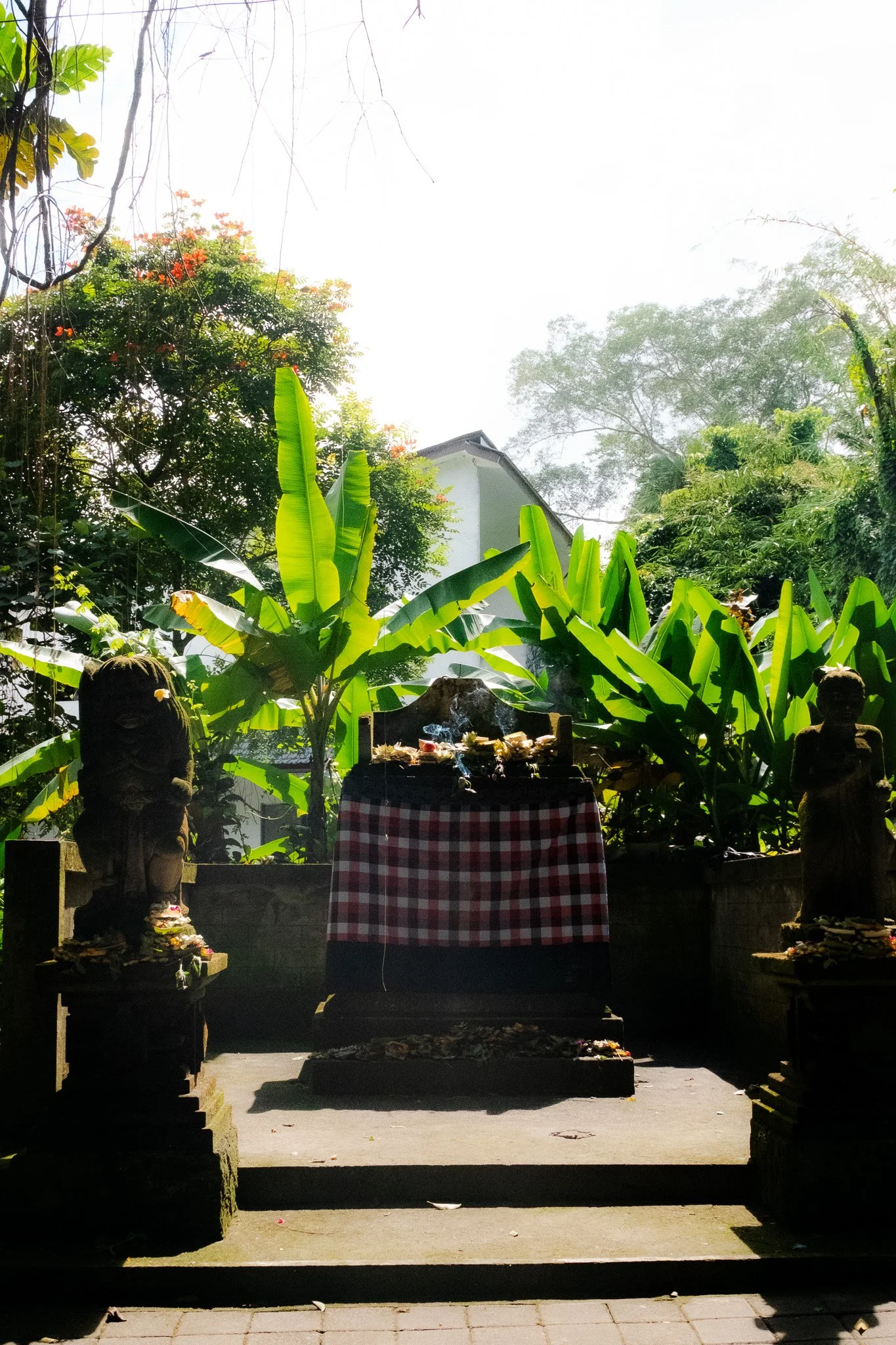 DSCF3278.jpg