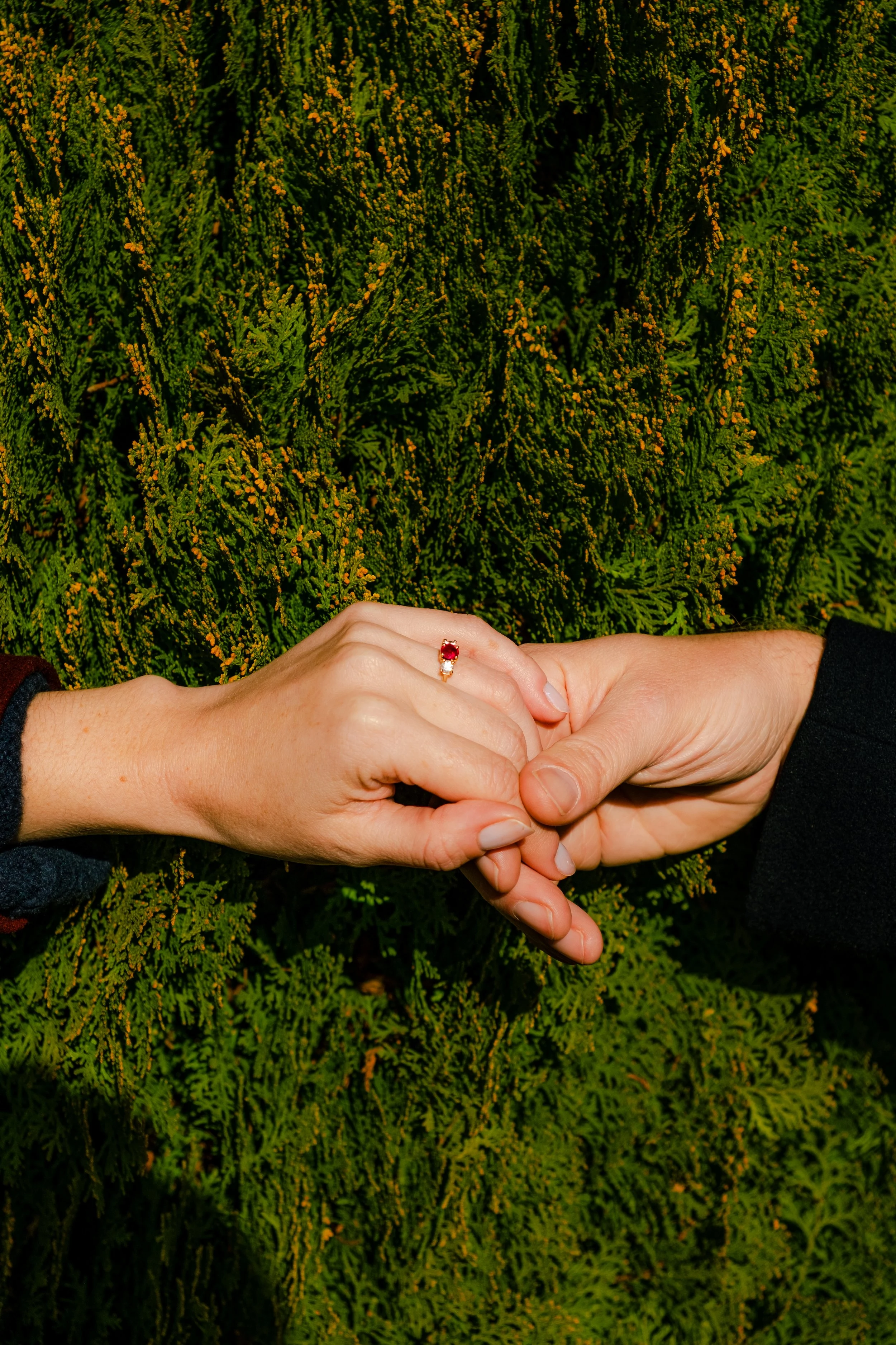 Two people holding hands with a green leafy background. The woman is wearing a gold ring with a red gemstone.