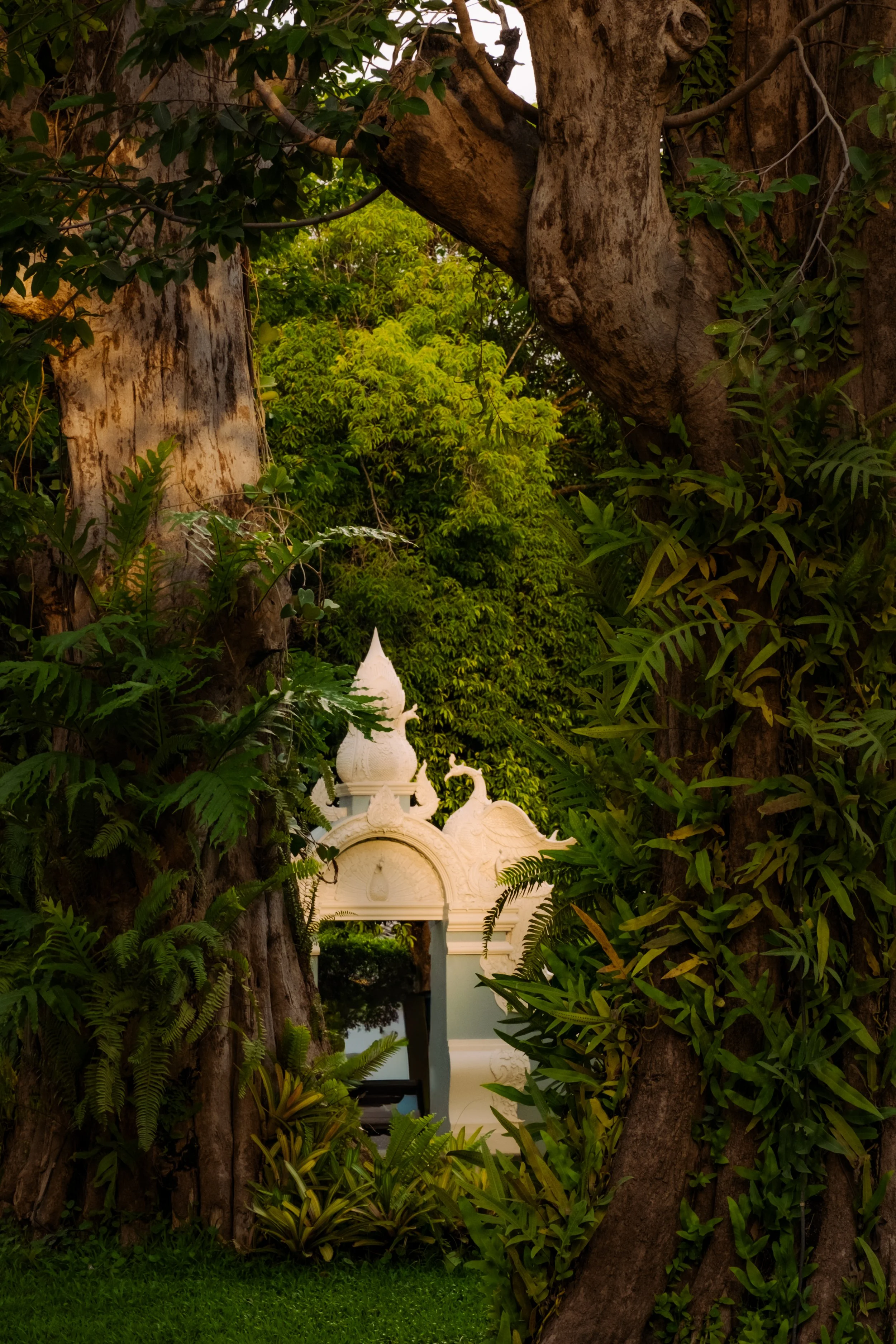 DSCF1722.jpg
