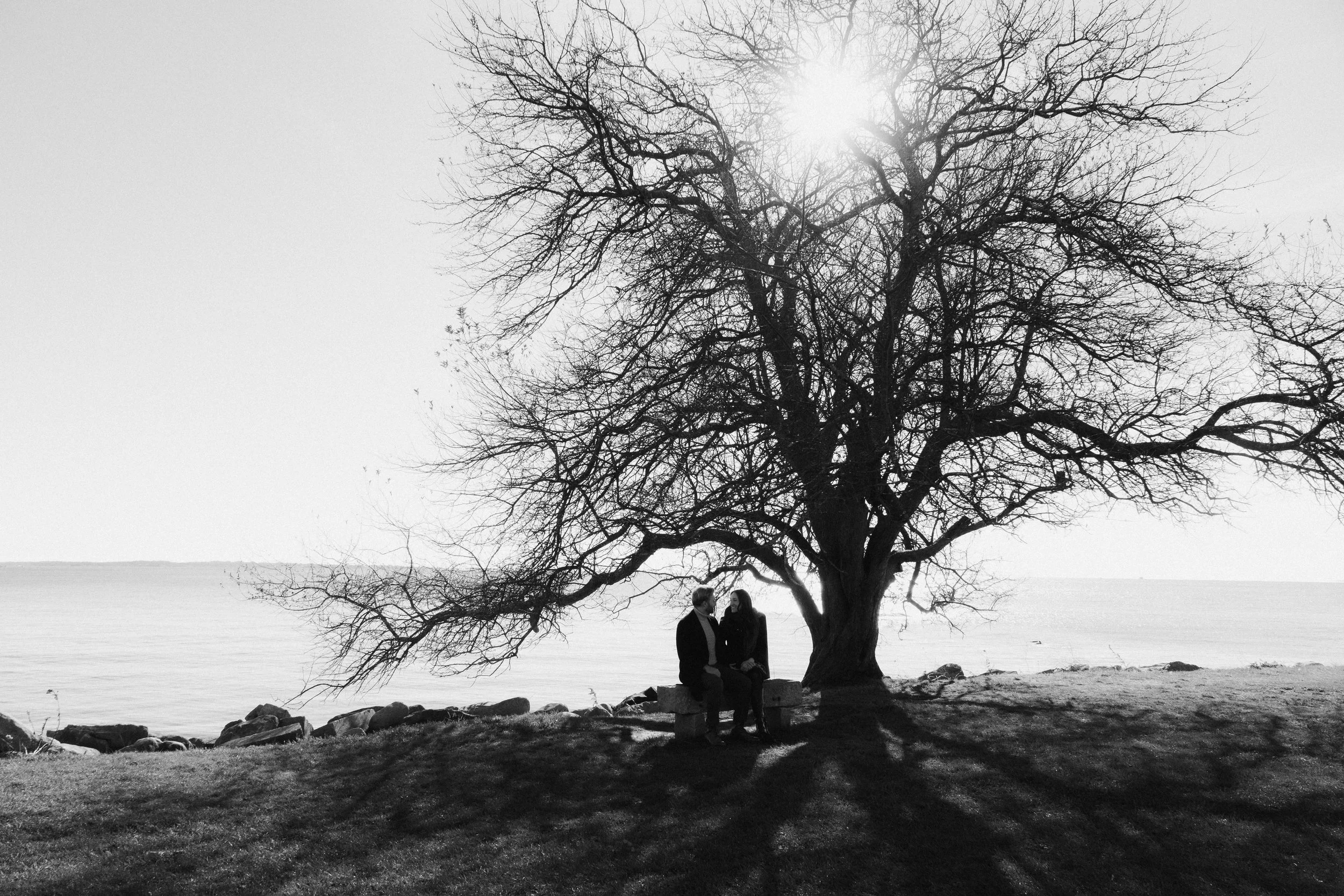 Black and white photo of a couple sitting on a bench under a large leafless tree by the water, with the sun shining through the branches and casting shadows on the grass.