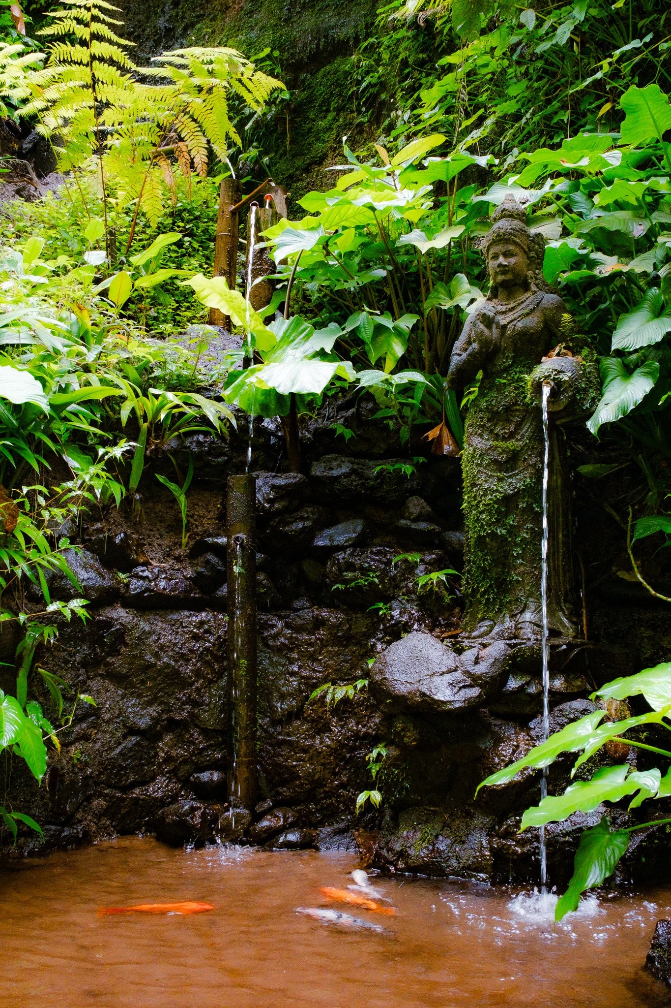 DSCF3660.jpg