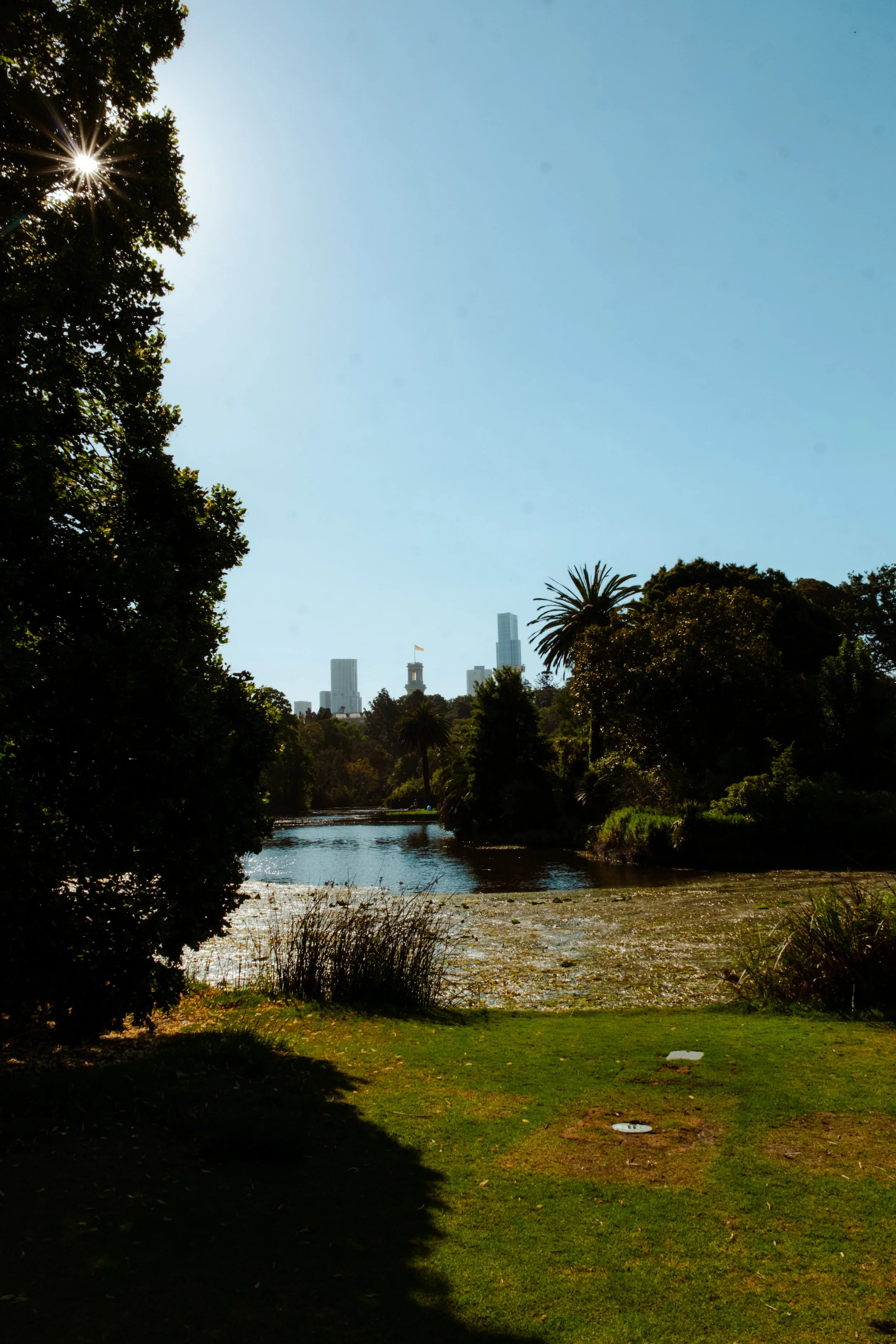 DSCF7368.jpg