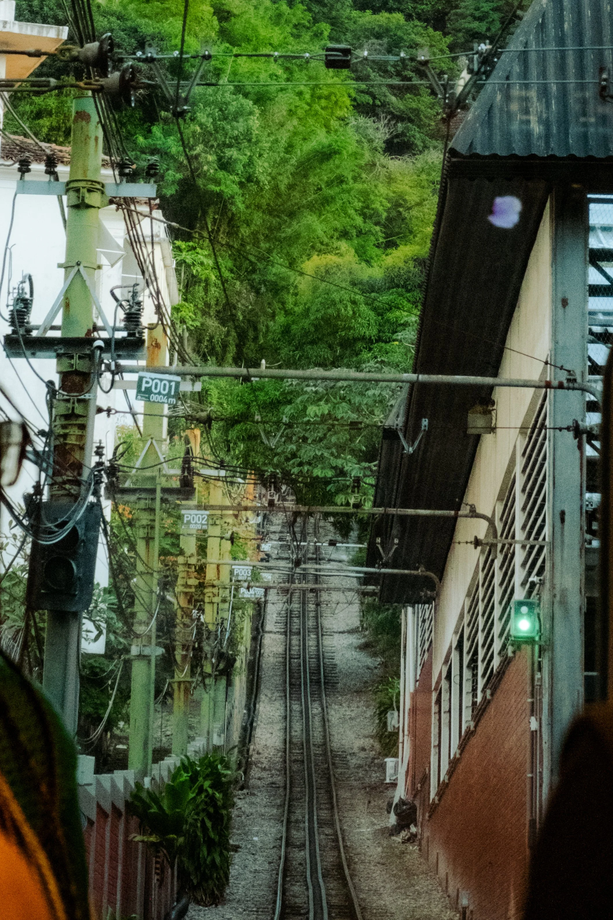 DSCF2514.jpg