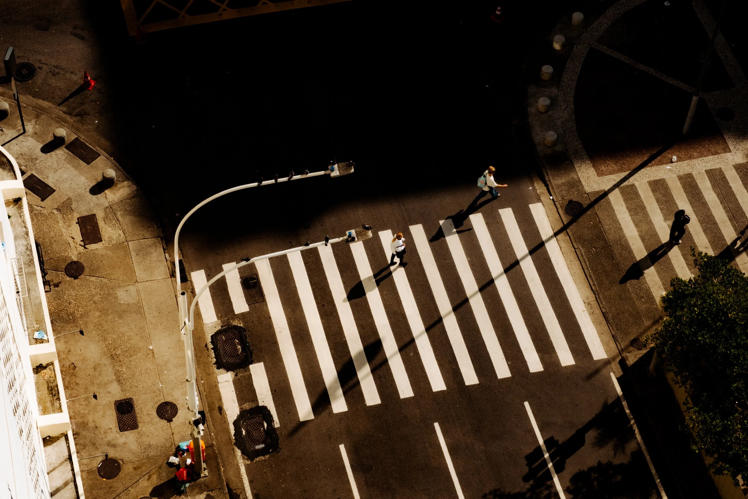 DSCF2479.jpg