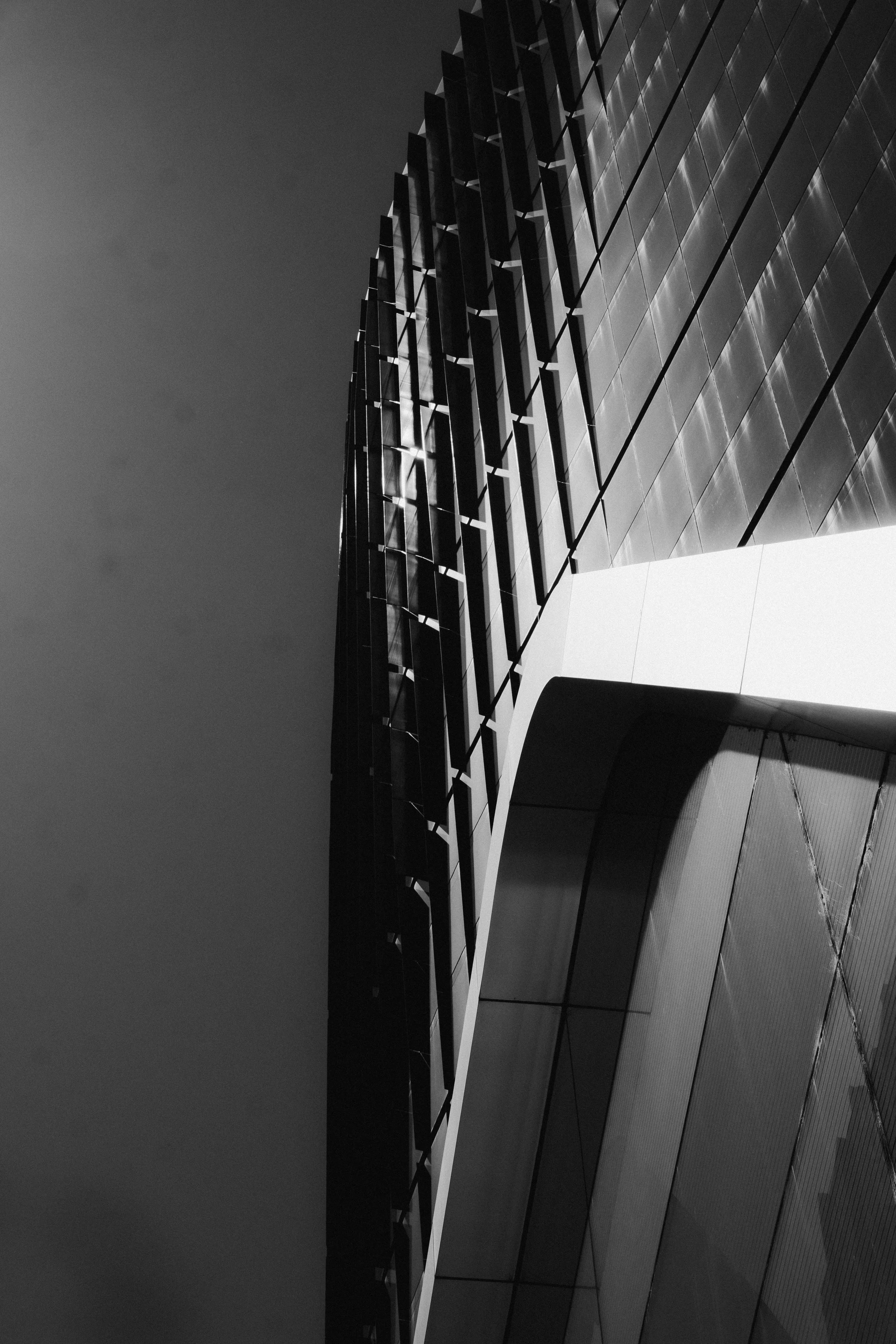 DSCF7450.jpg