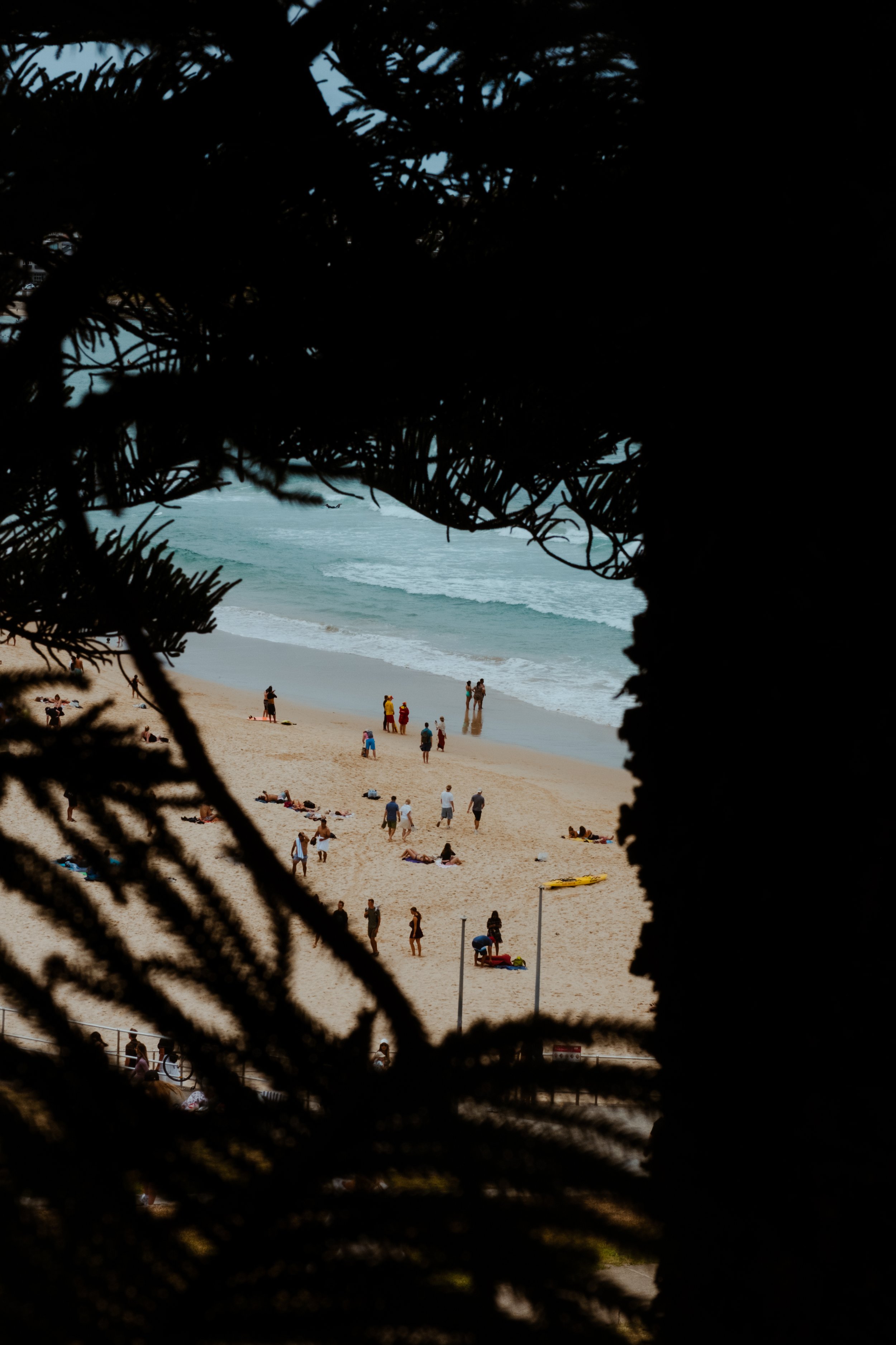 DSCF6932.jpg