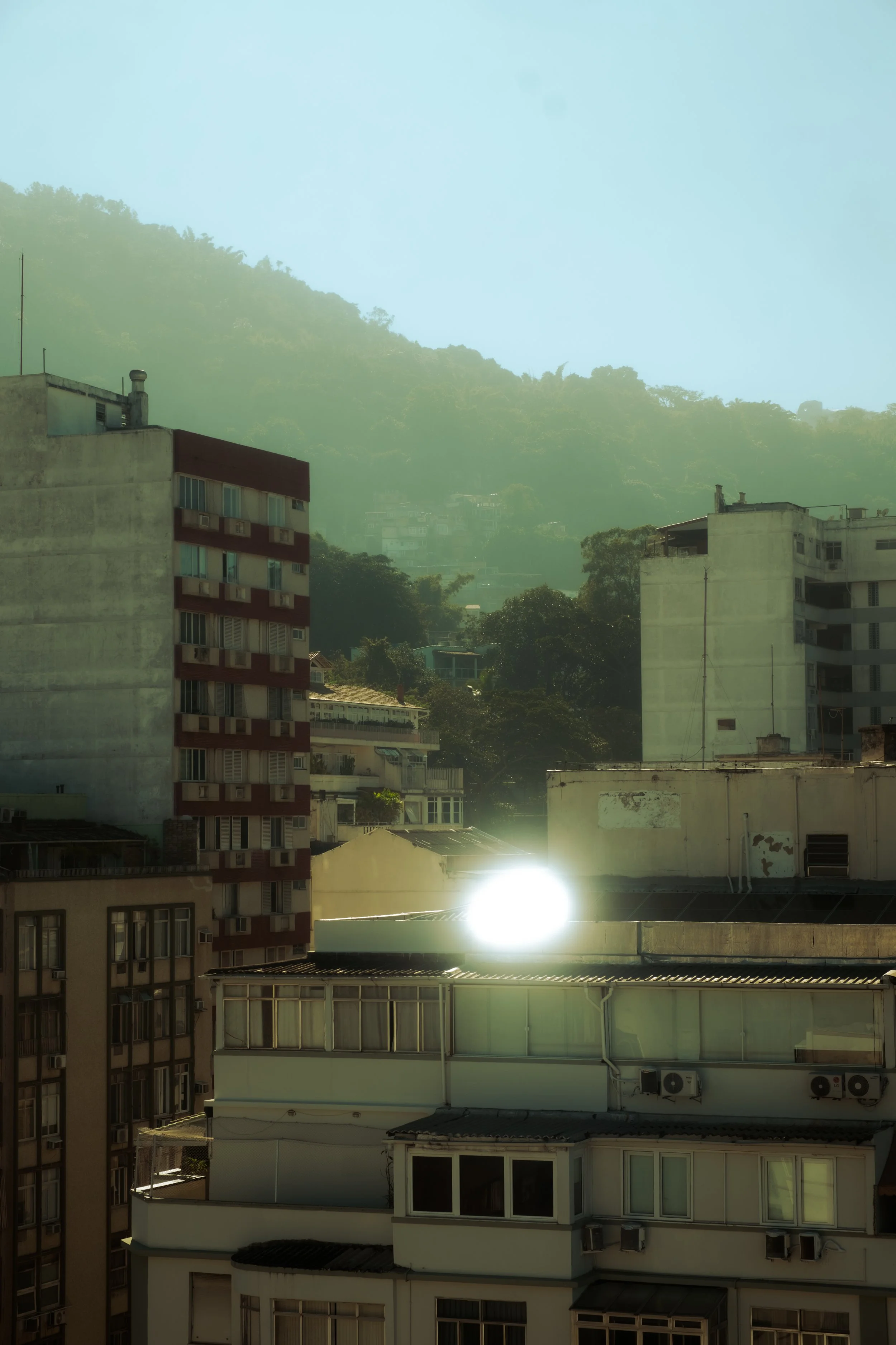 DSCF2561.jpg