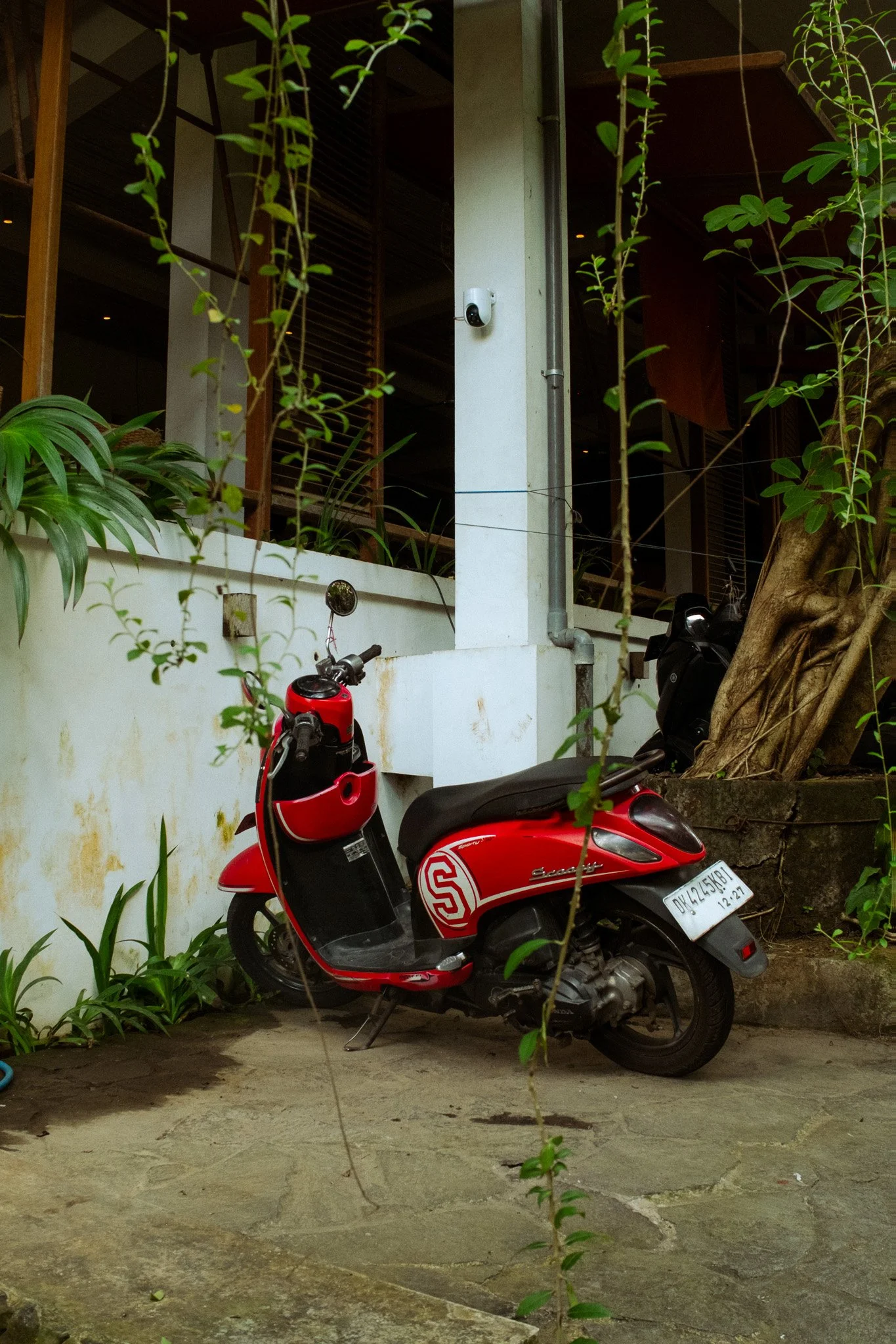 DSCF3316.jpg