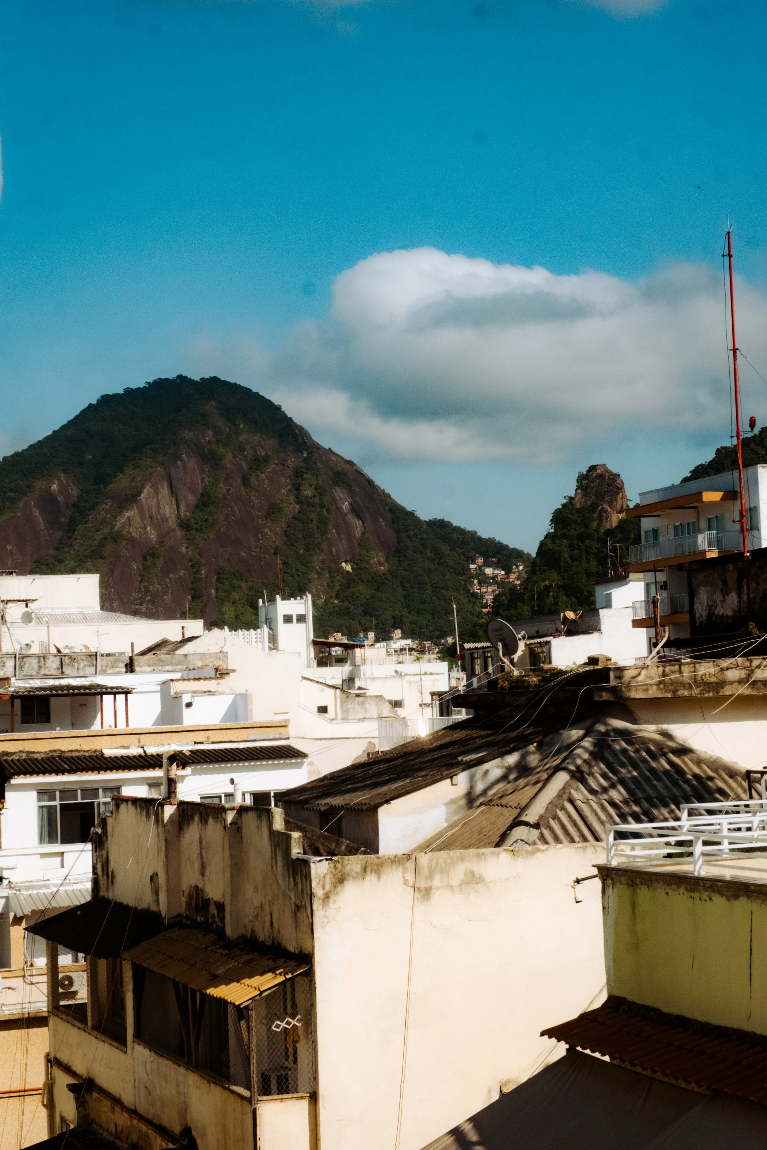 DSCF2478.jpg