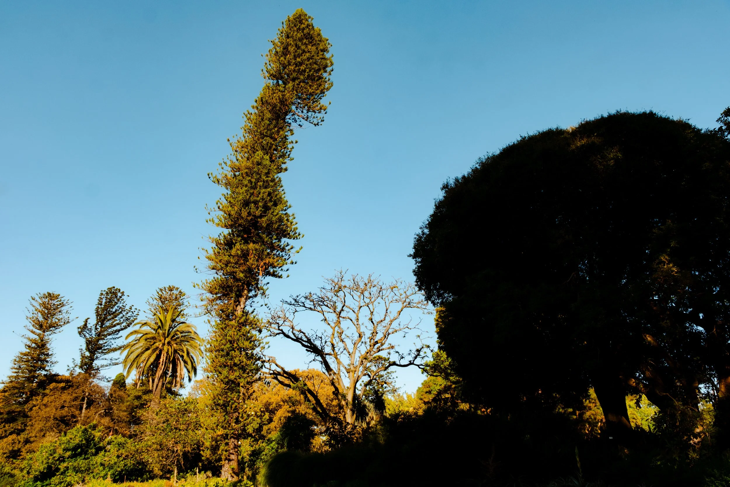 DSCF7396.jpg