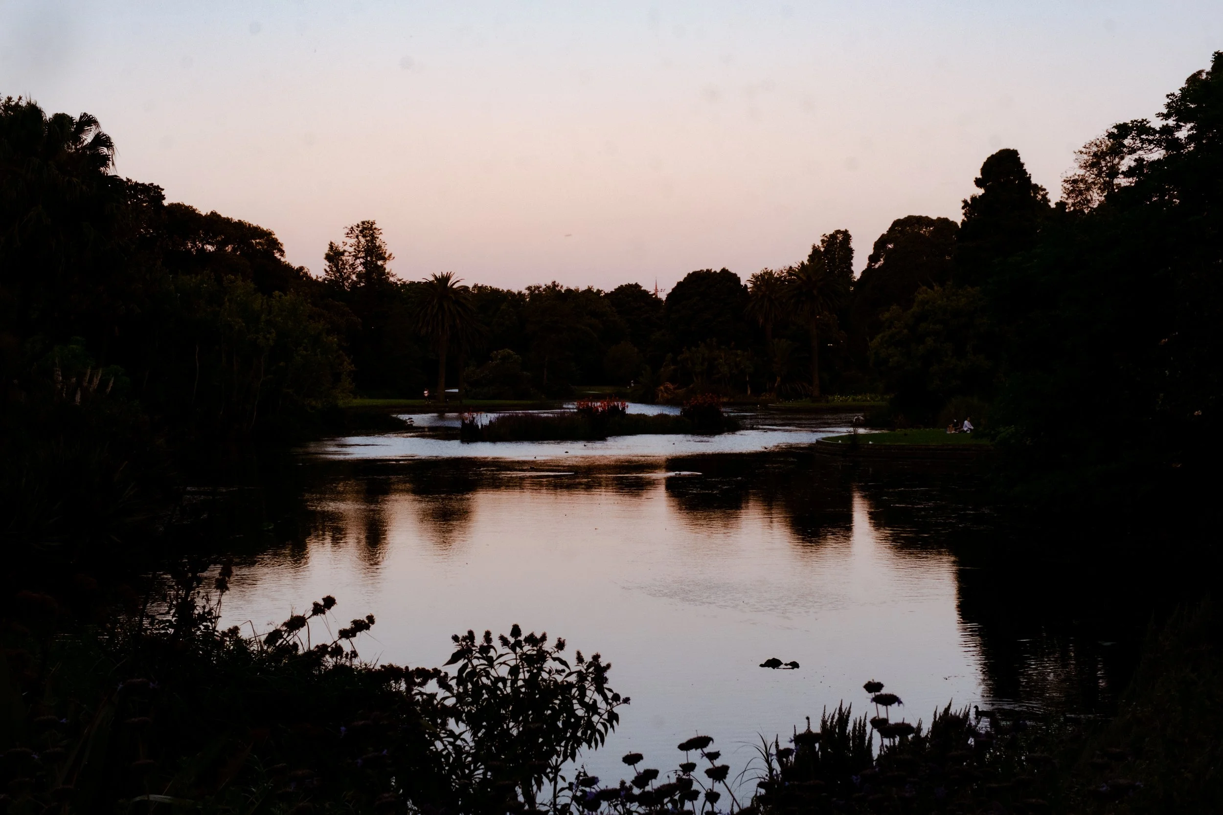 DSCF7414.jpg